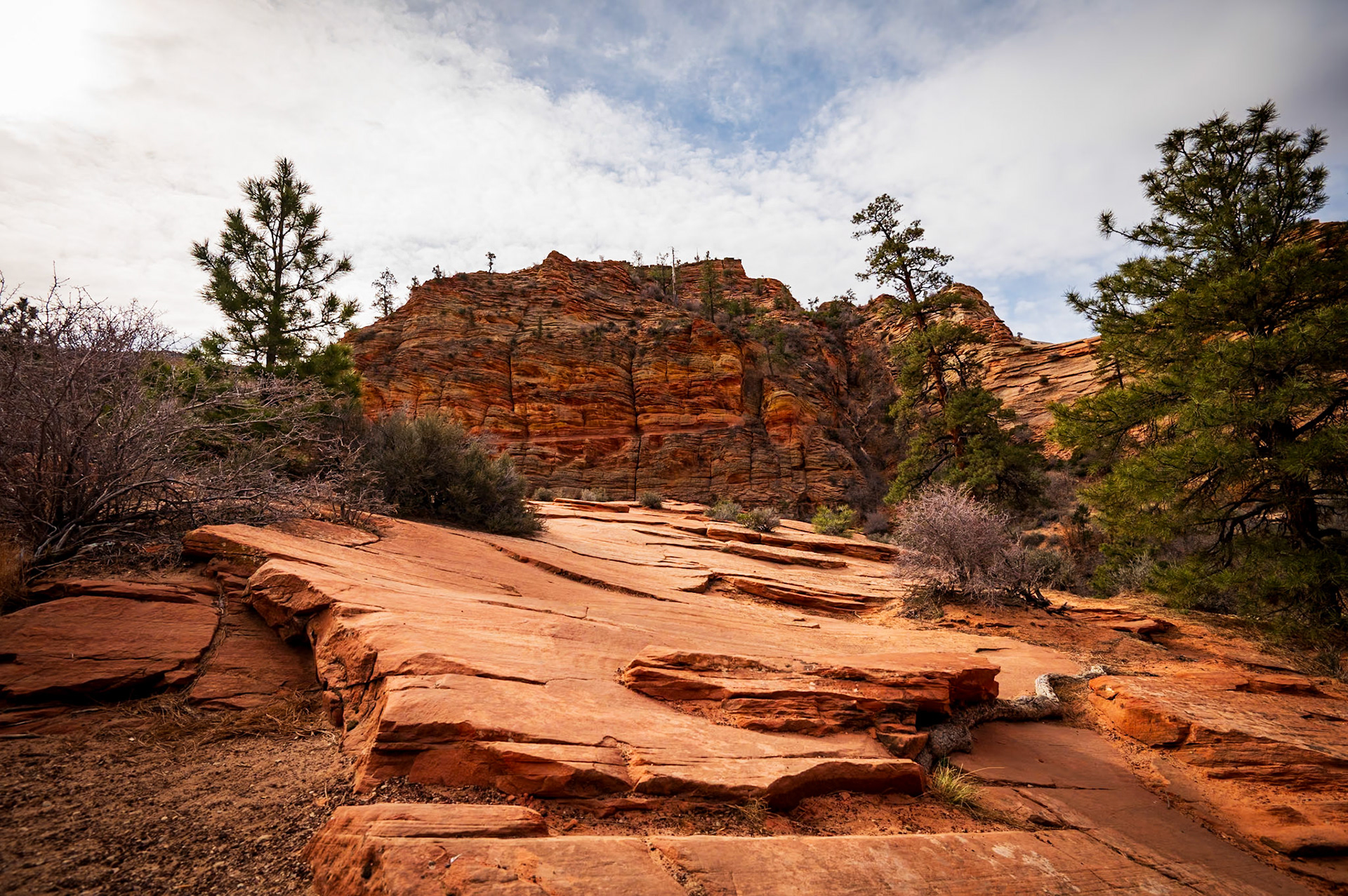 Zion