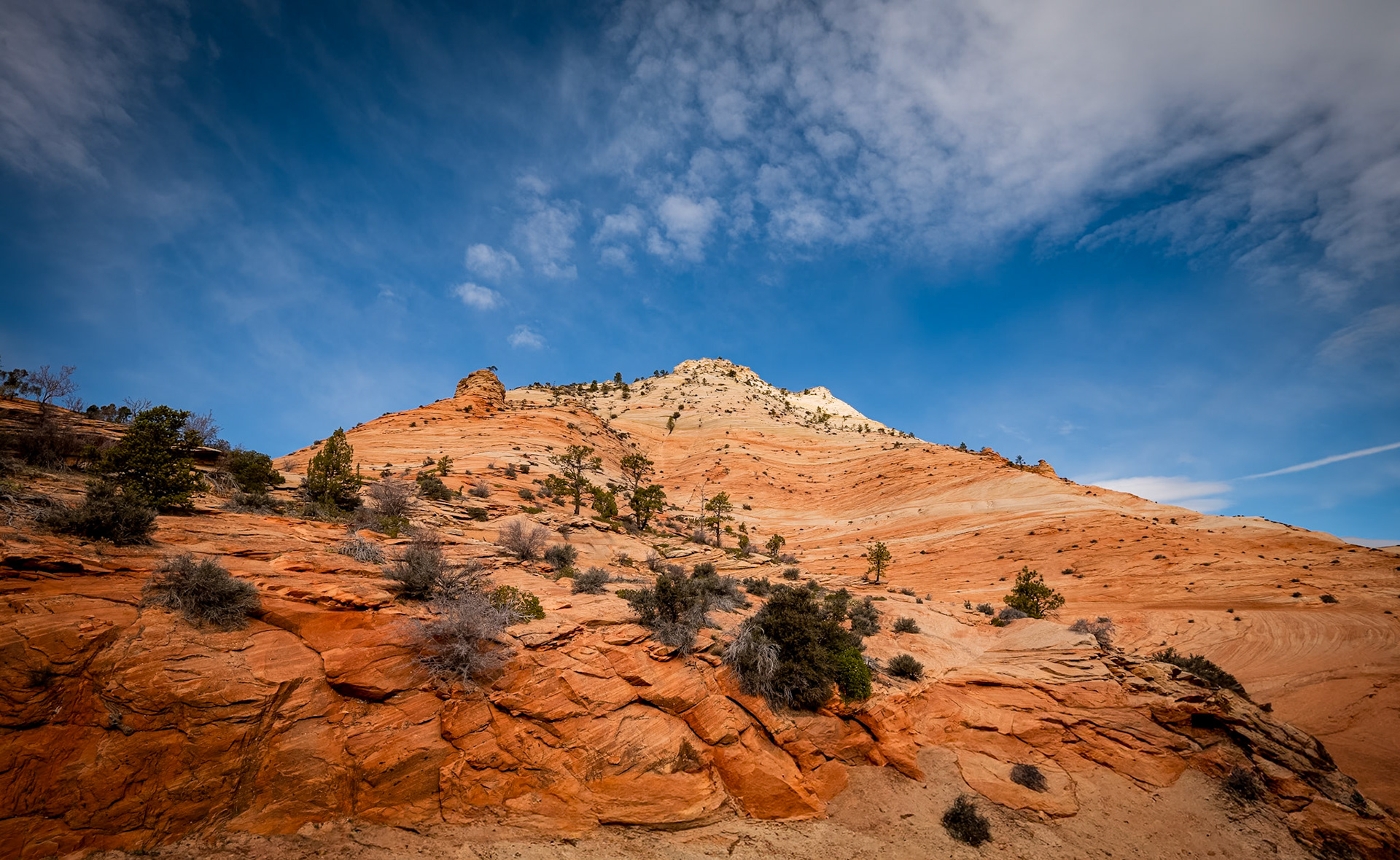 Zion