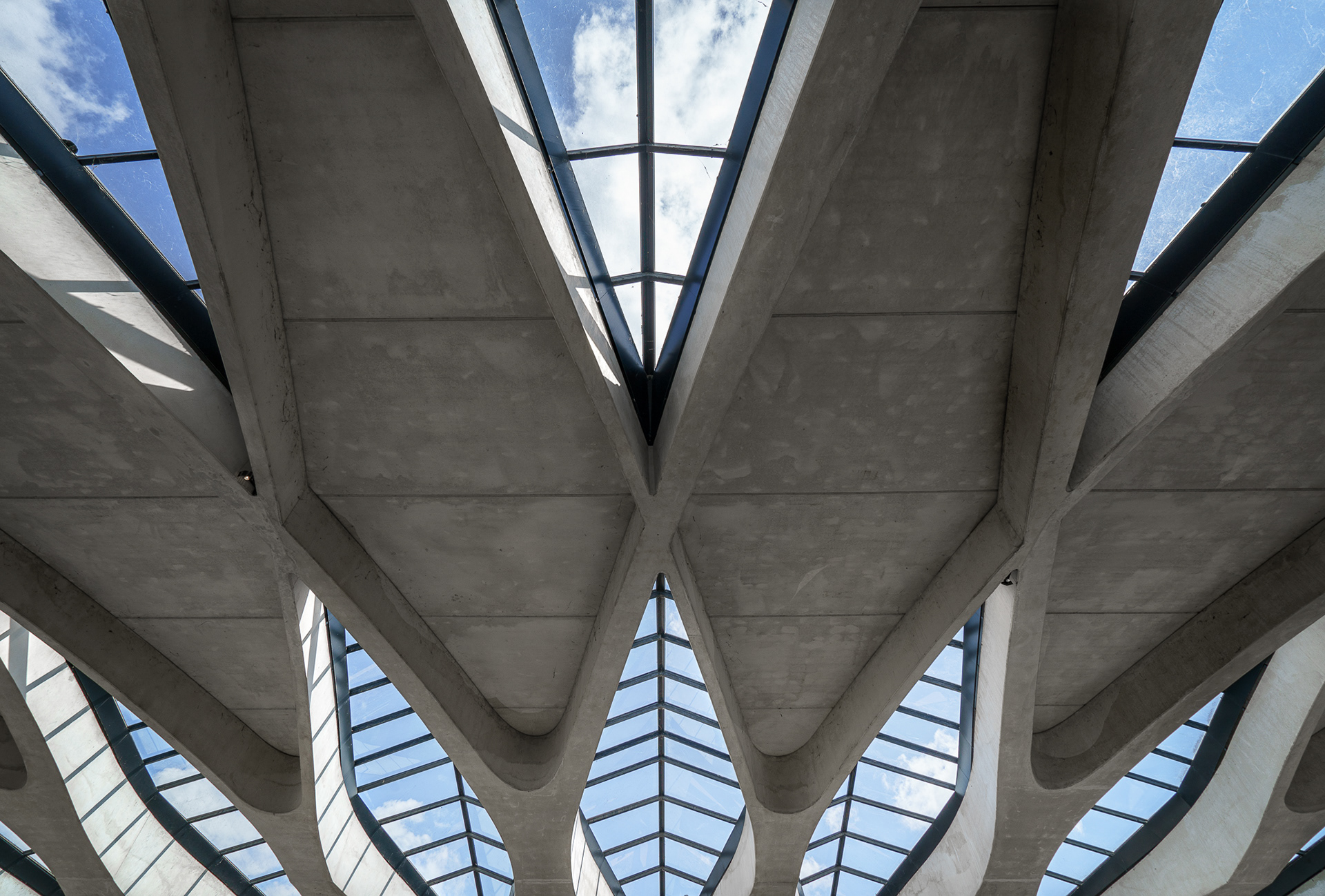Railway station by Santiago Calatrava - Lyon Saint-Exupéry