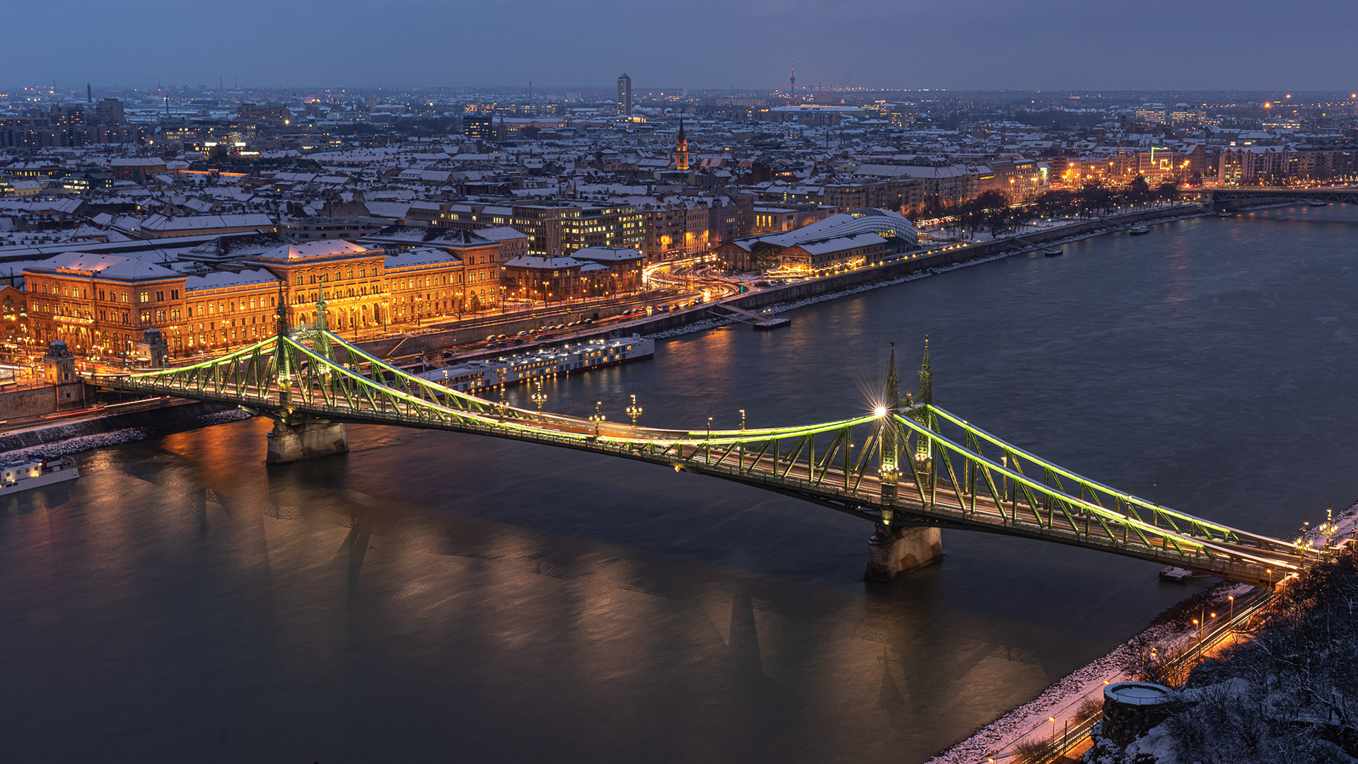 Liberty Bridge ( Szabadság Híd) from Szabó Dezső stny