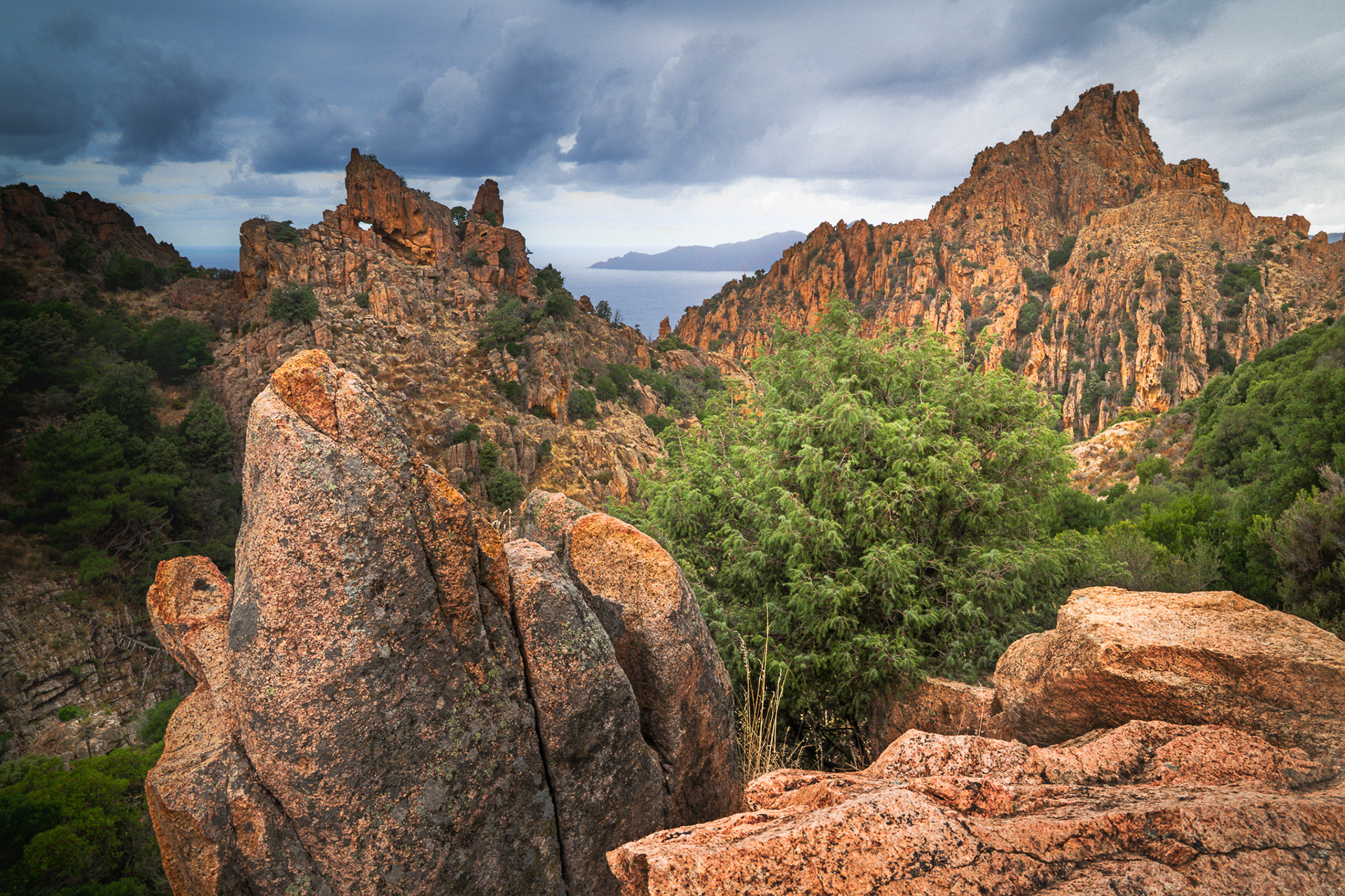 Corsica's Rugged Majesty: Calanques de Piana