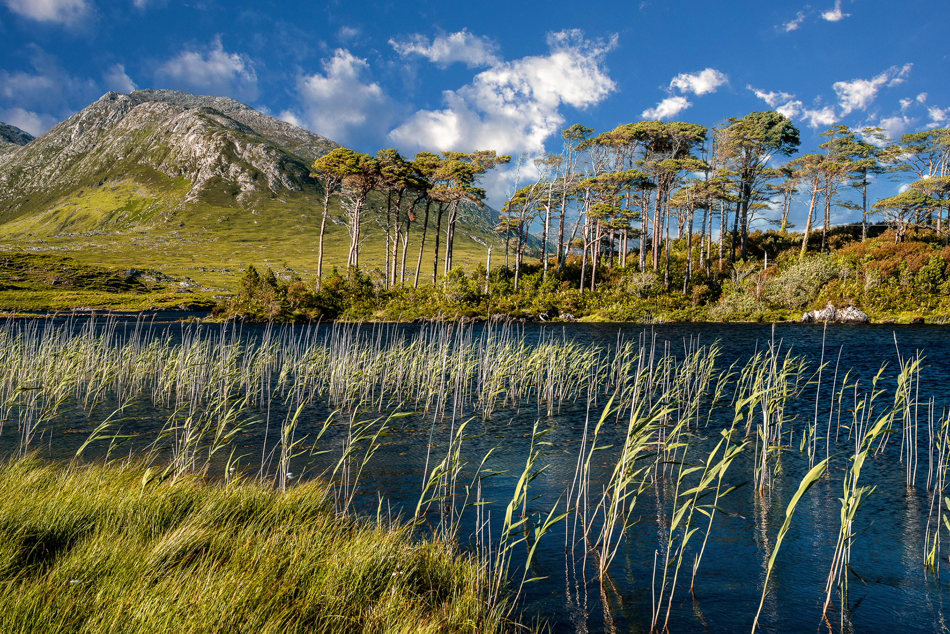 Connemara, Derryclare Lough, Co. Galway