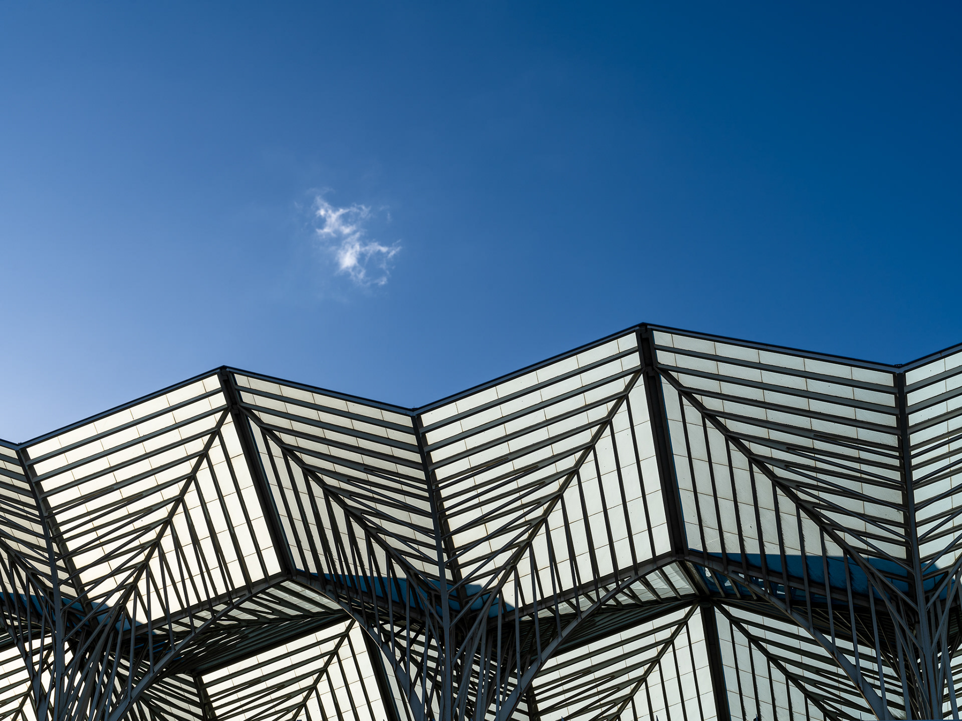 Lisbon - Portugal - Architect : Santiago Calatrava