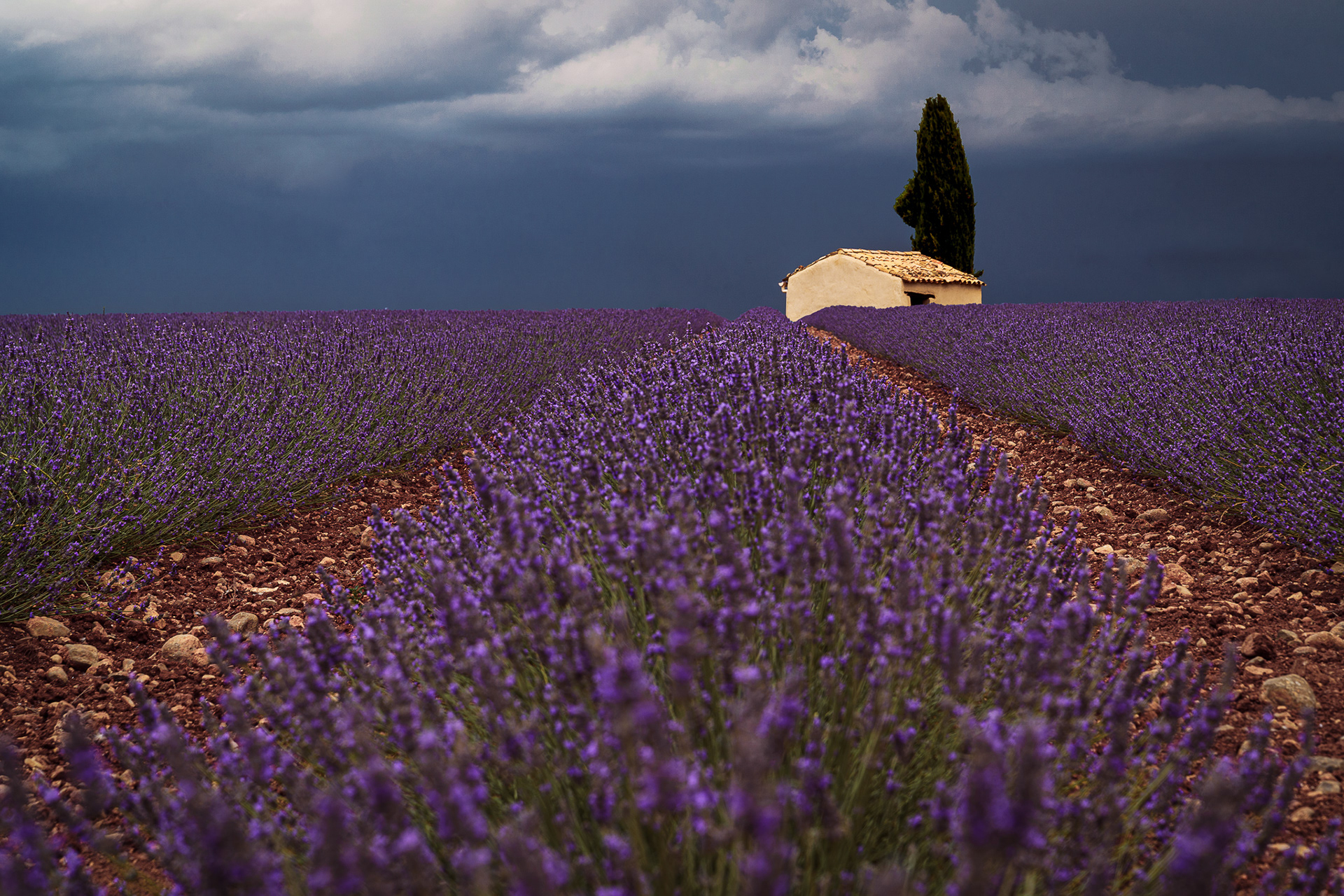 Valensole