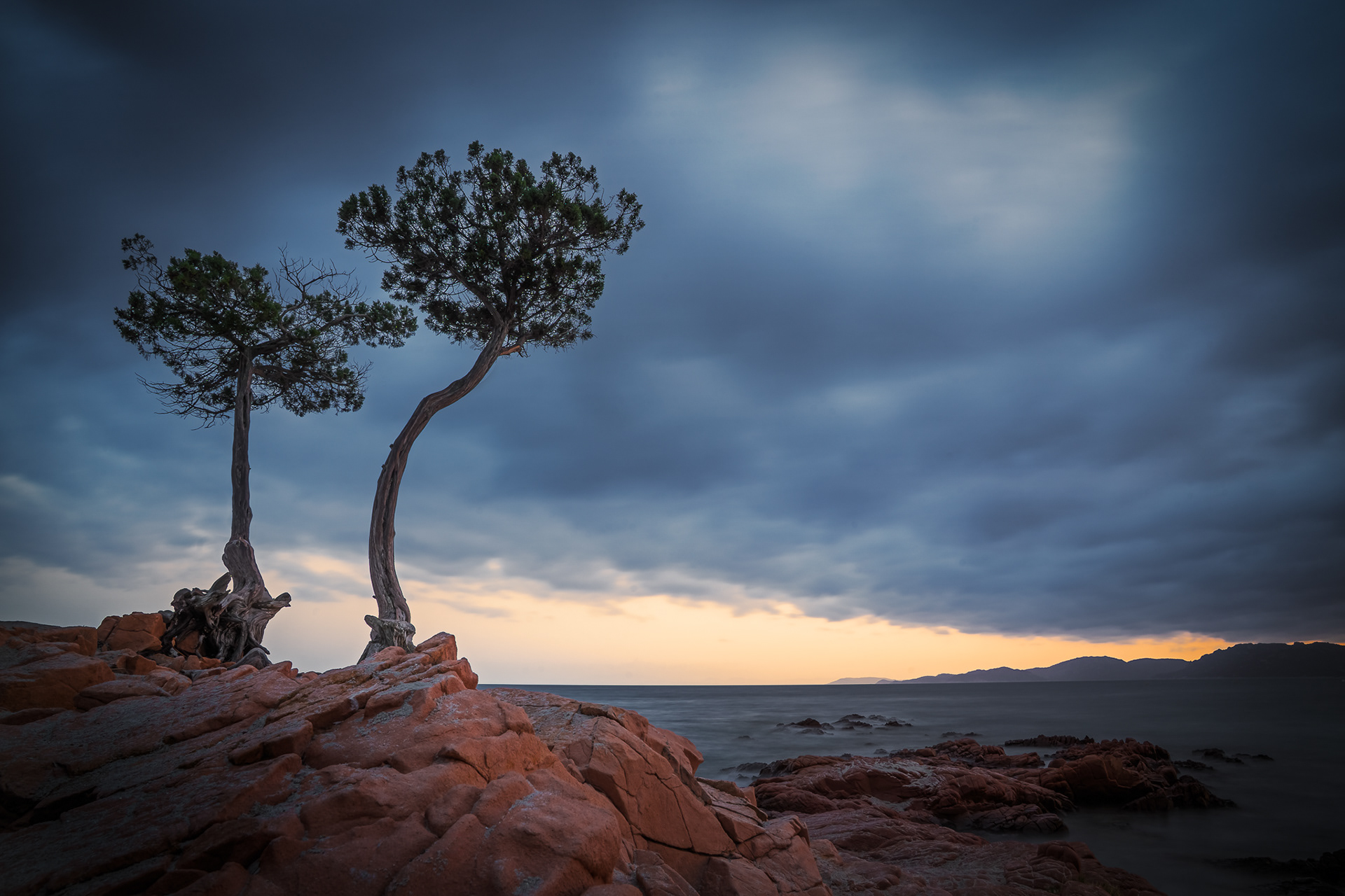 Two wind-swept trees stand resiliently on vibrant red rocks