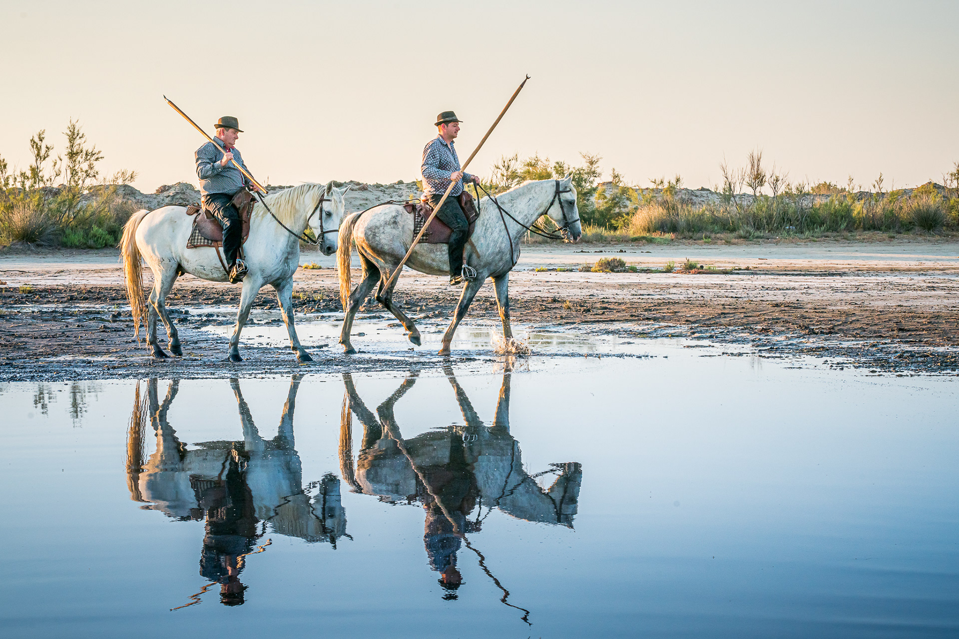 Camargue