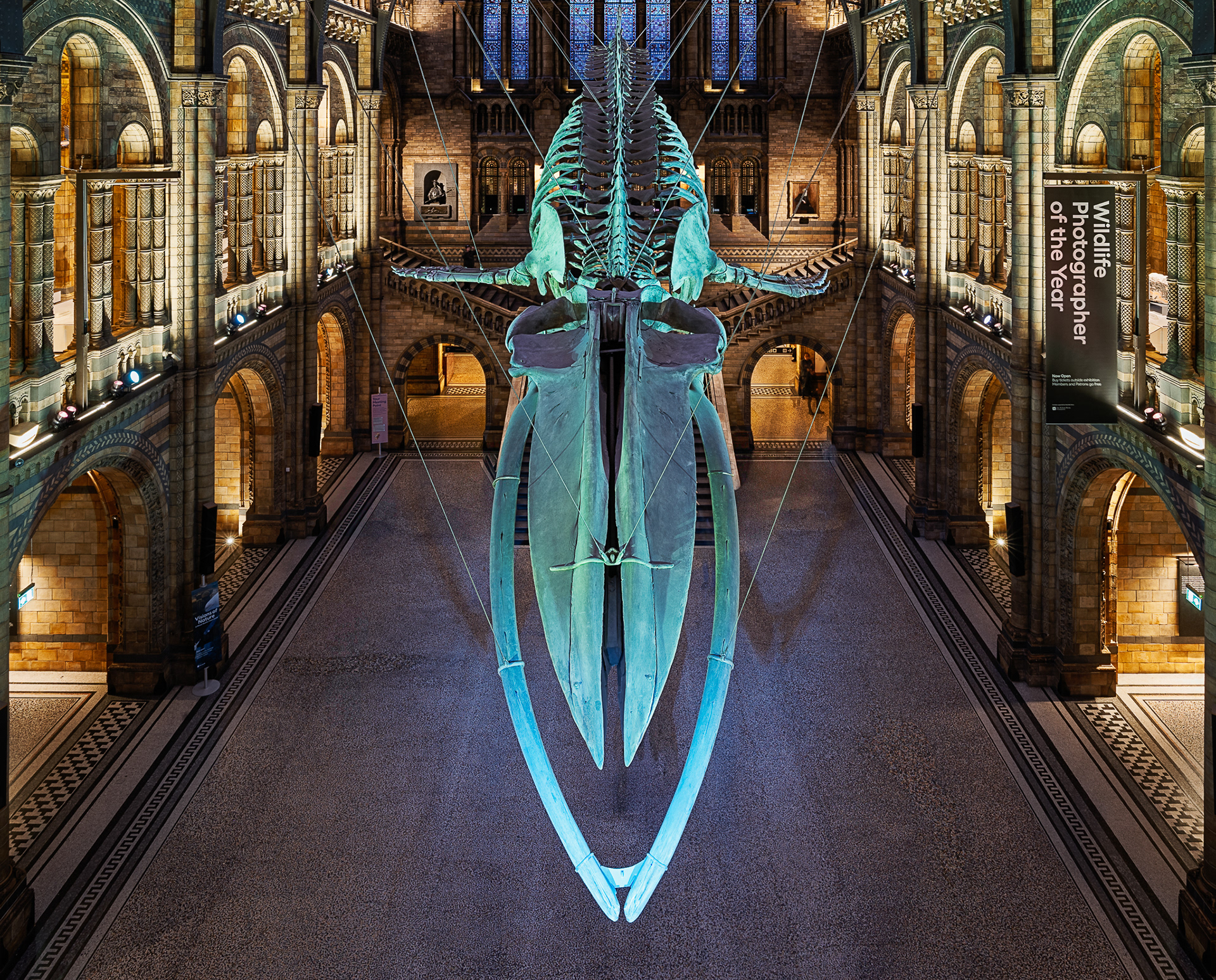 Natural History Museum