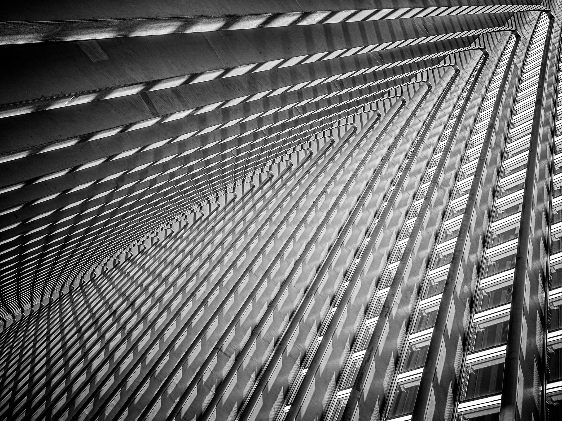 Liège - Belgium - Architect : Santiago Calatrava