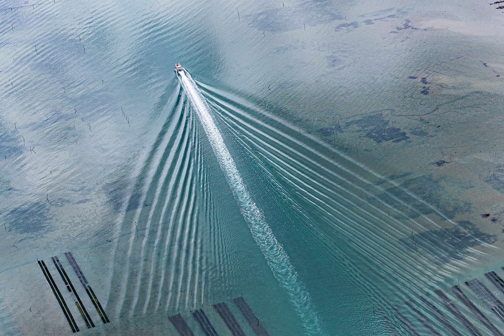 Oyster farming from the air
