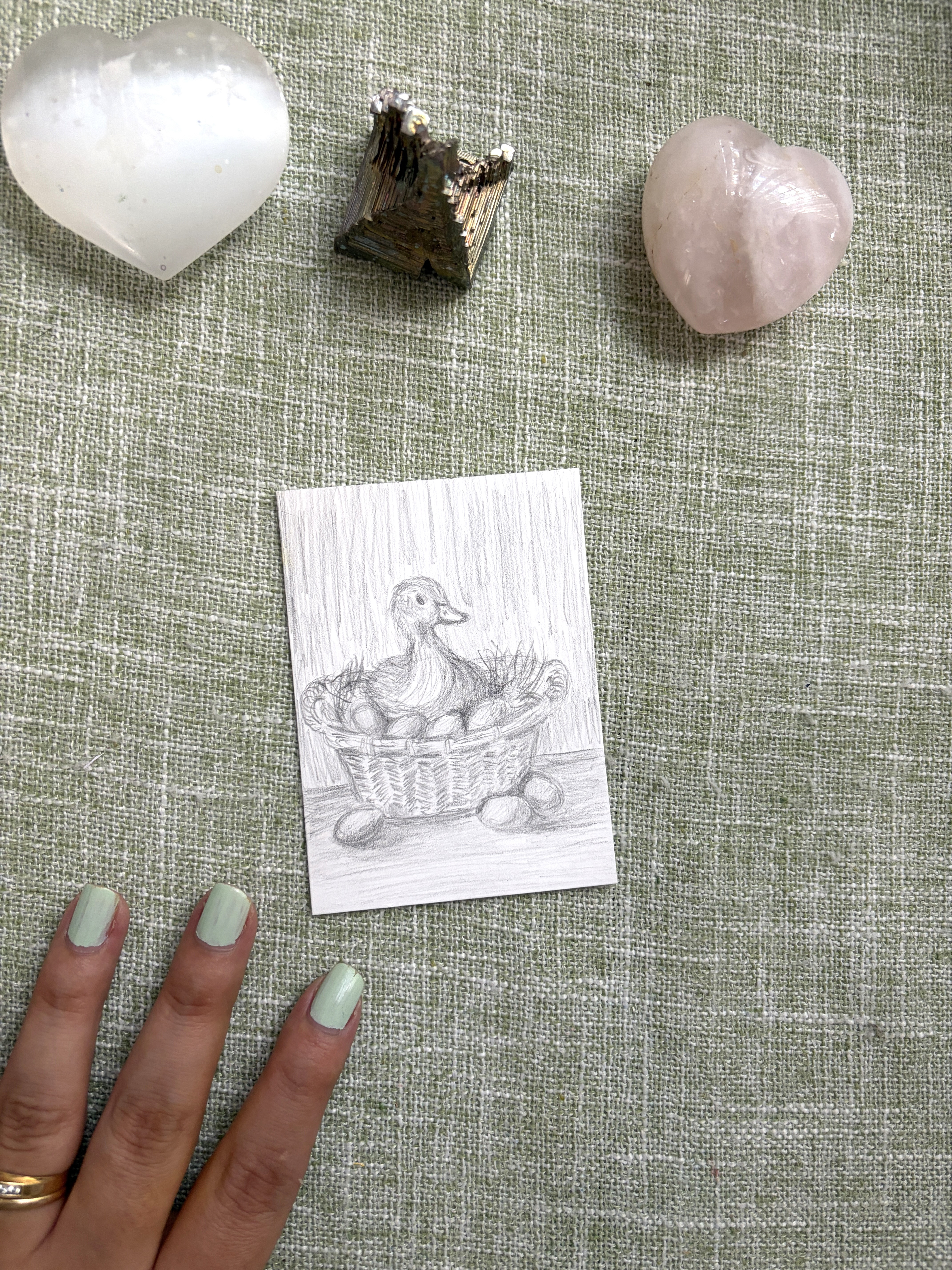 Duck in a Basket - Graphite on Bristol