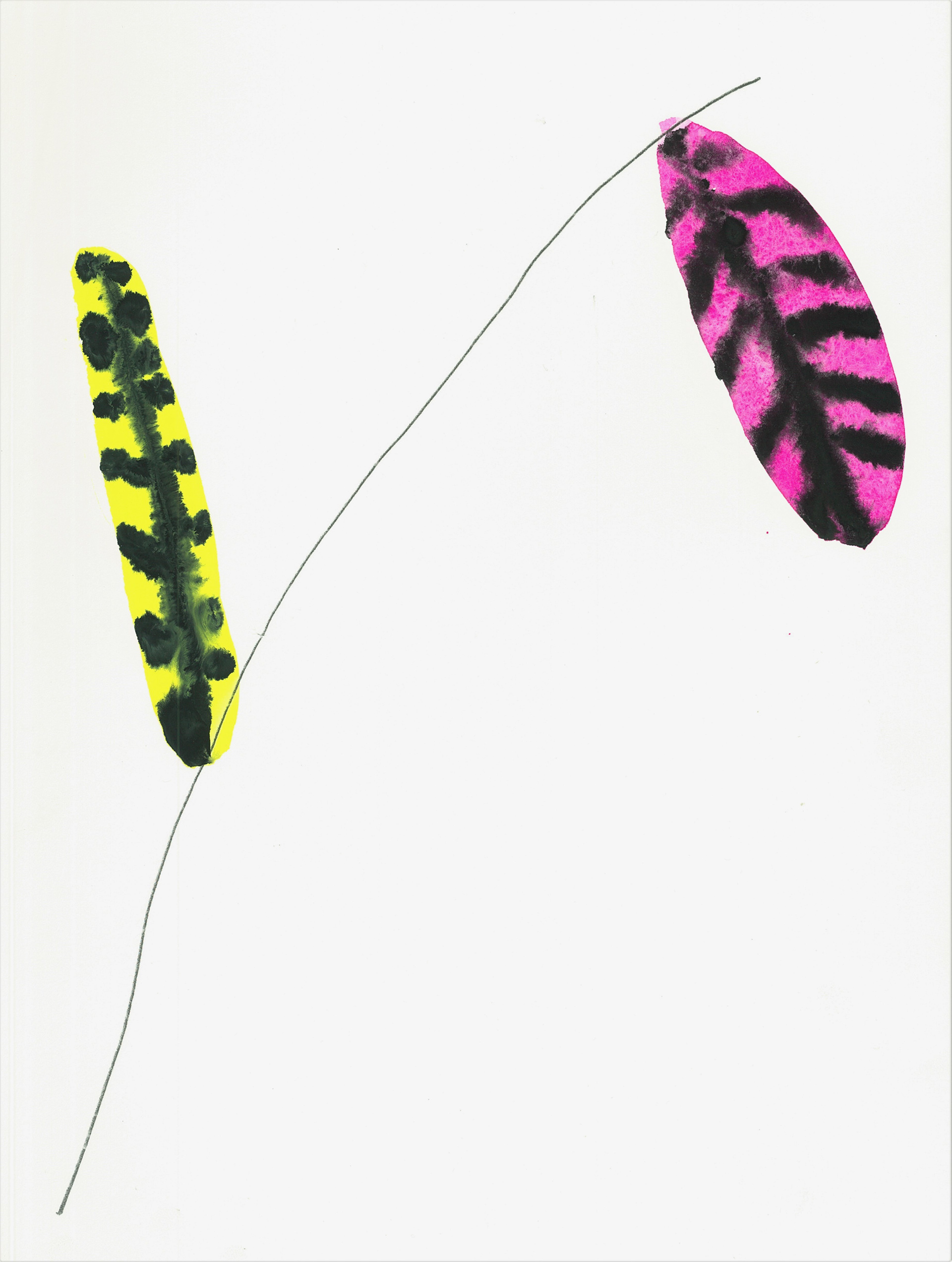 Yumi NISHIMURA
