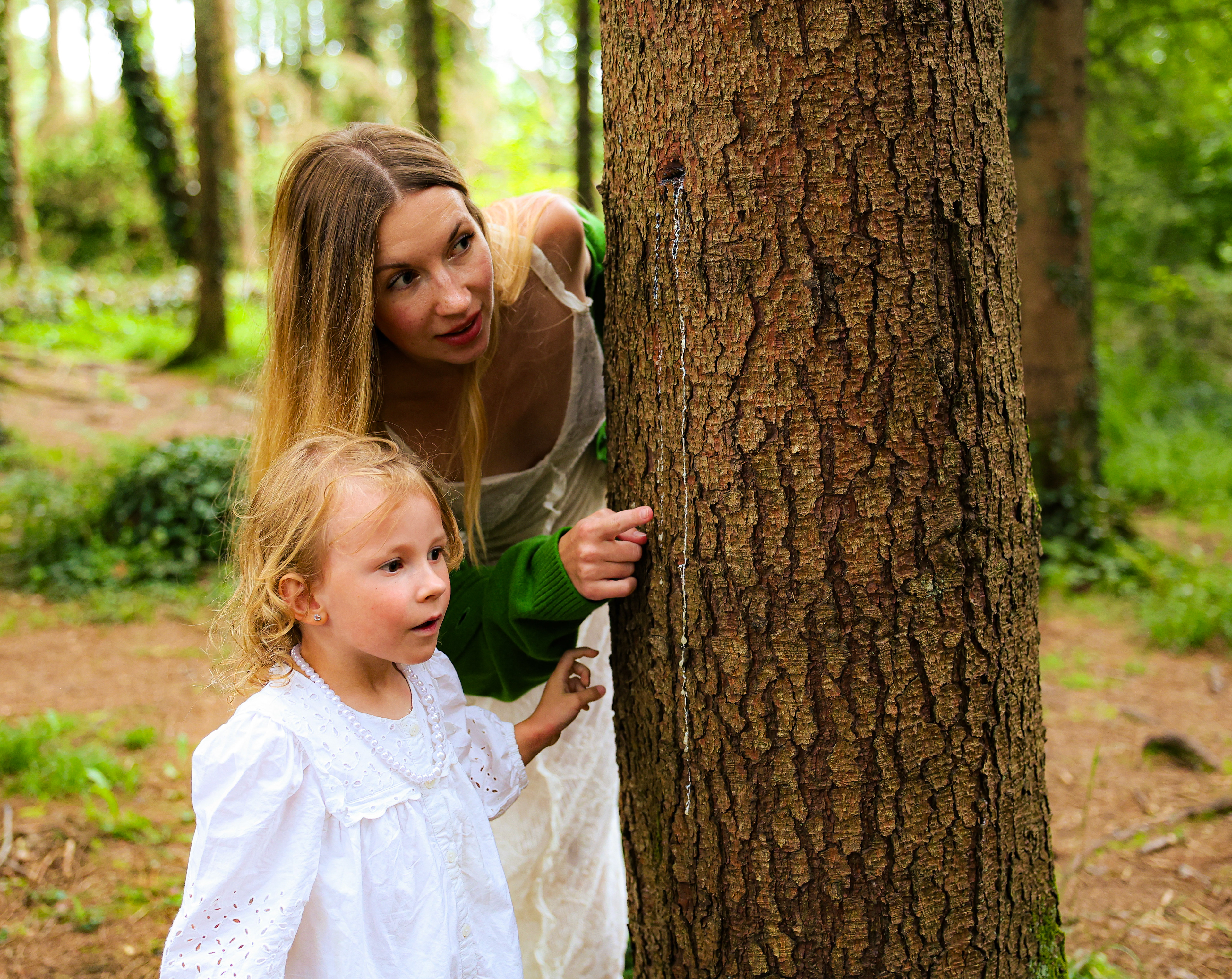 Searching for Fairies