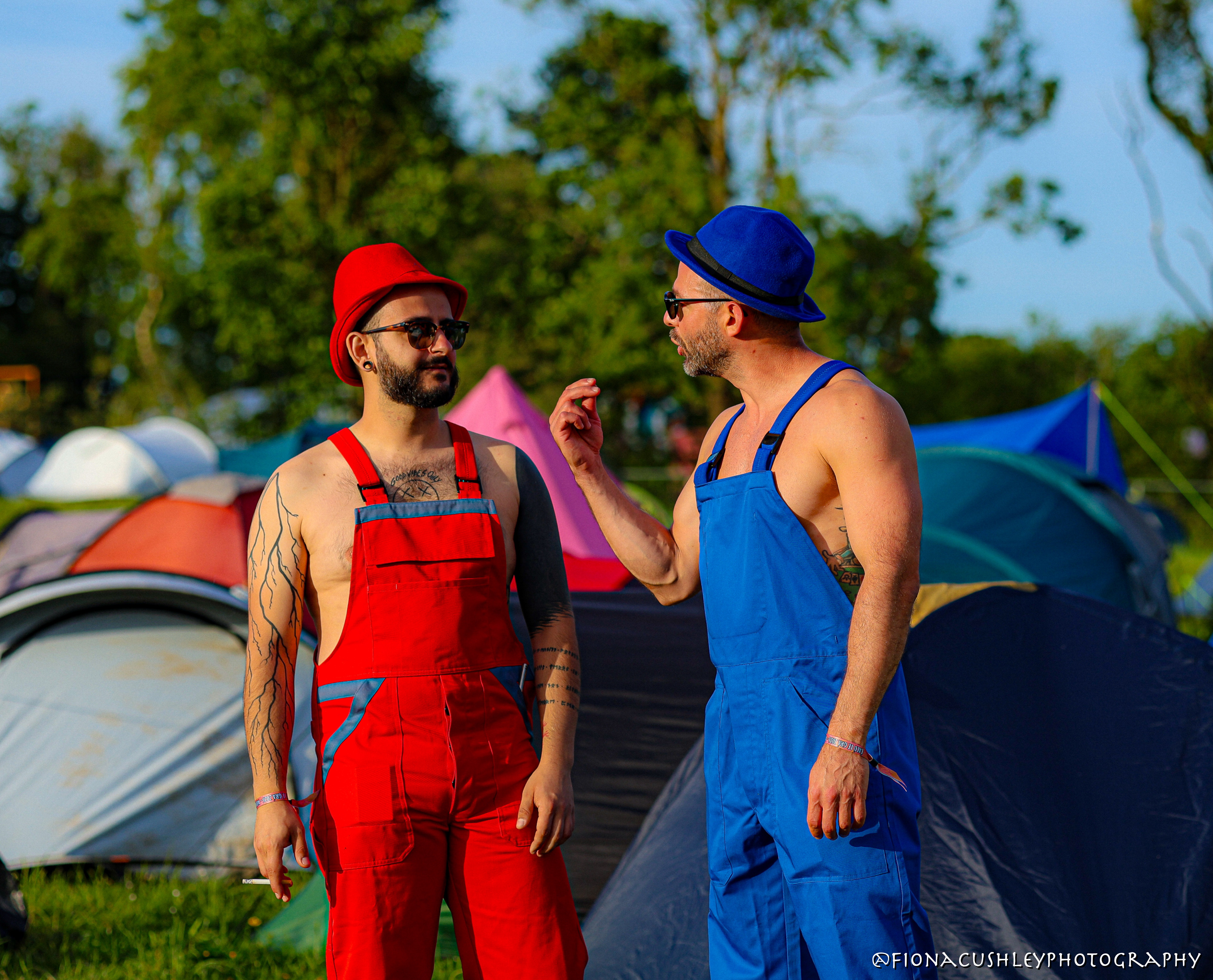 Mario & Luigi - Ealulegra