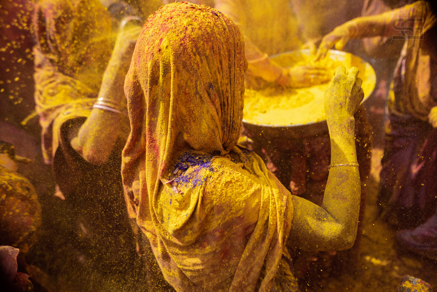 soaked in color, festival of colours, Vrindavan, Mathura, India