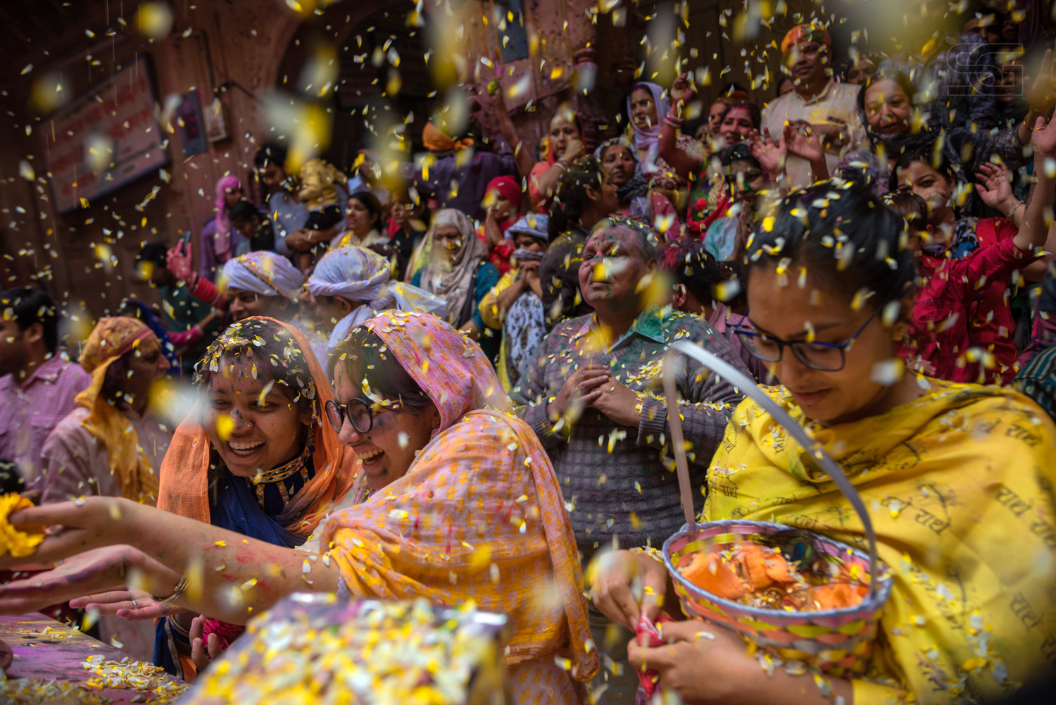 Phooli wali holi at Banke Bihari Temple.. Holi celebrations in Barsana / Nandgaon, Mathura, India