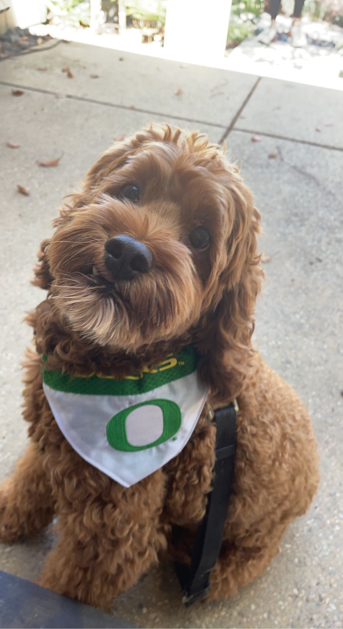 UO!