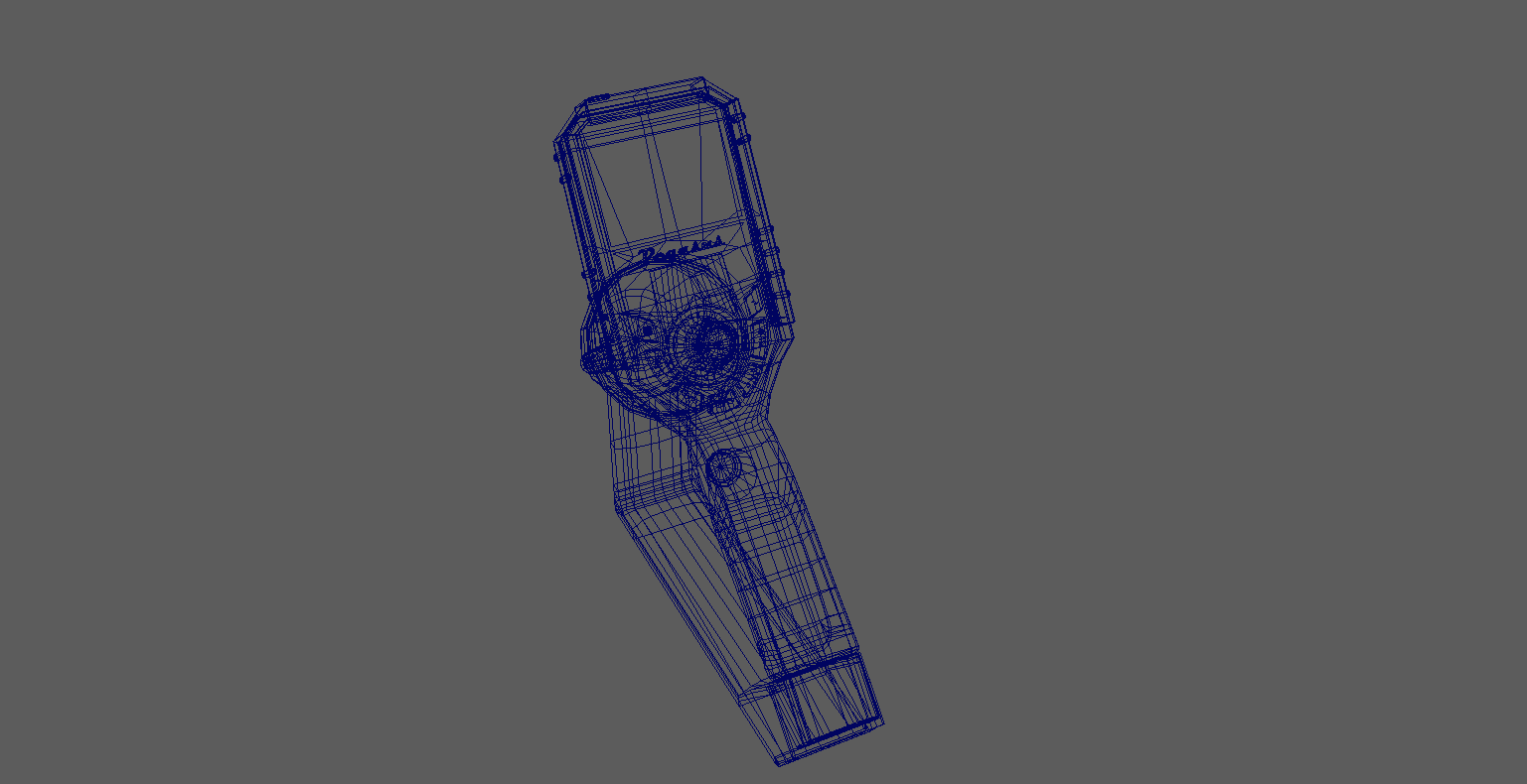 Wireframe Perspective View