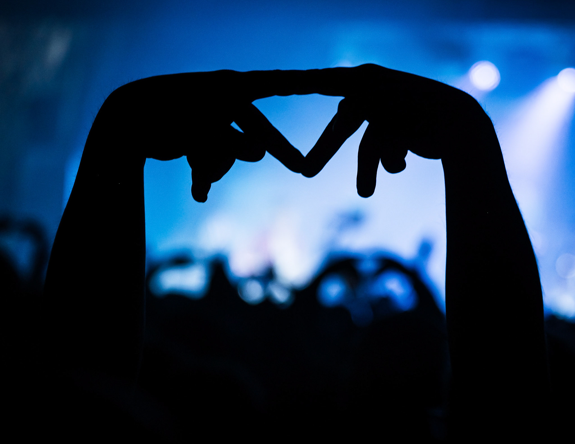 CROWD @ ENTER SHIKARI