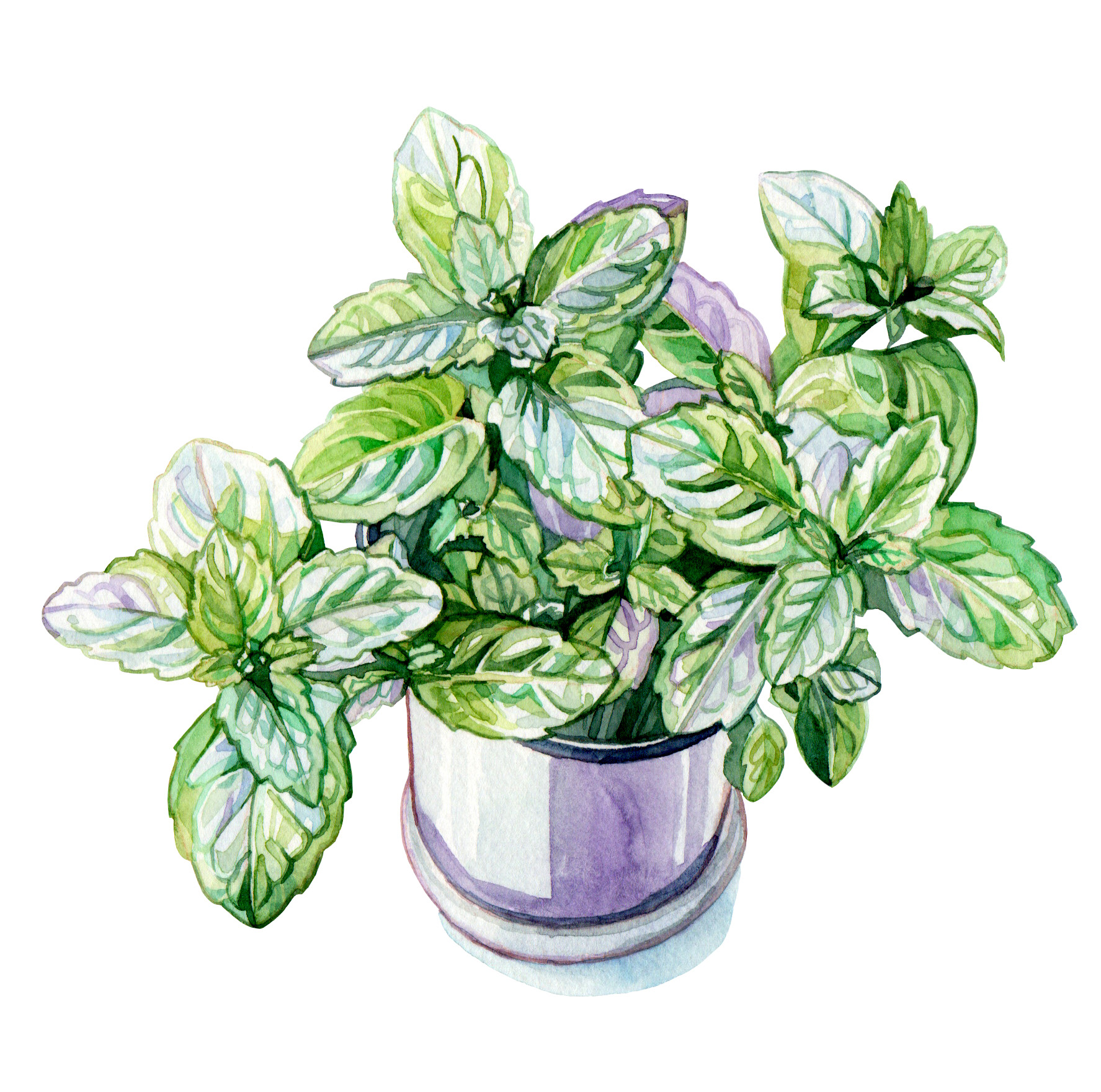 Original Mint Painting - 60€ (15 x 15 cm)