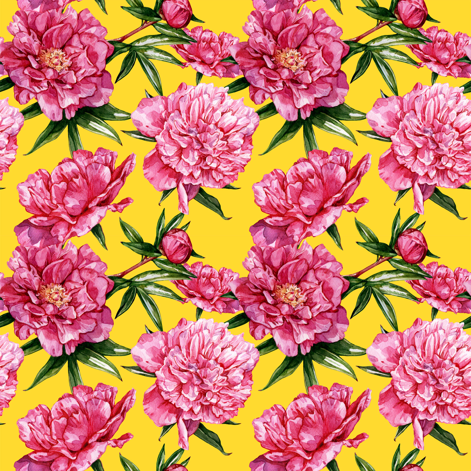 Pattern of Peonies