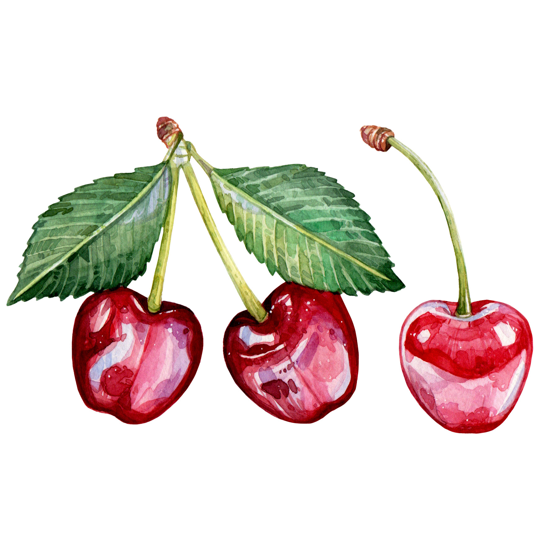 Original Cherries Painting - 60€ (15 x 15 cm)