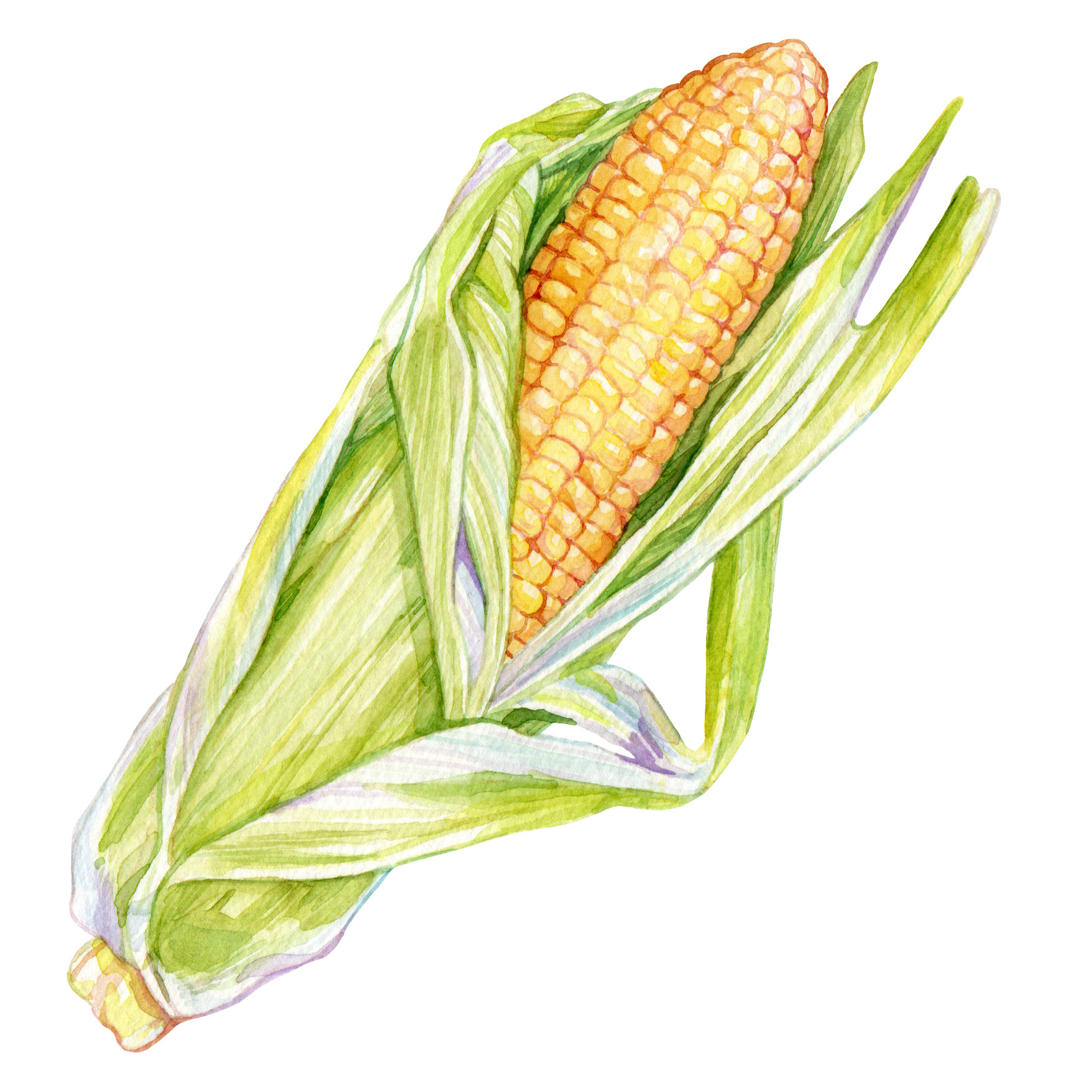Original Corn Painting - 60€ (15 x 15 cm)