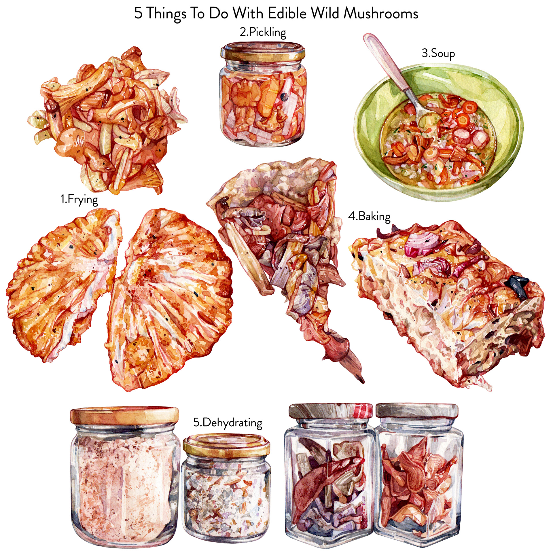 5 Things To Do With Edible Wild Mushrooms
