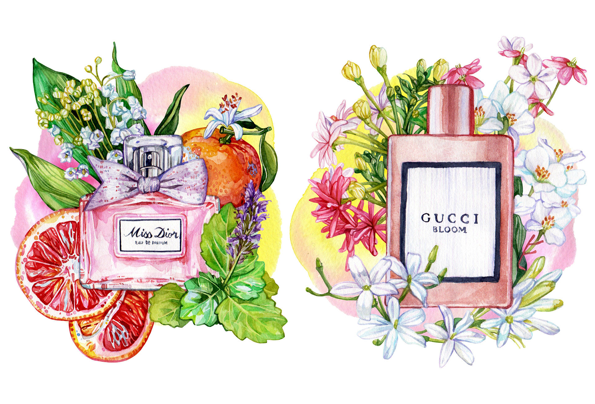 Illustrated perfume bottles