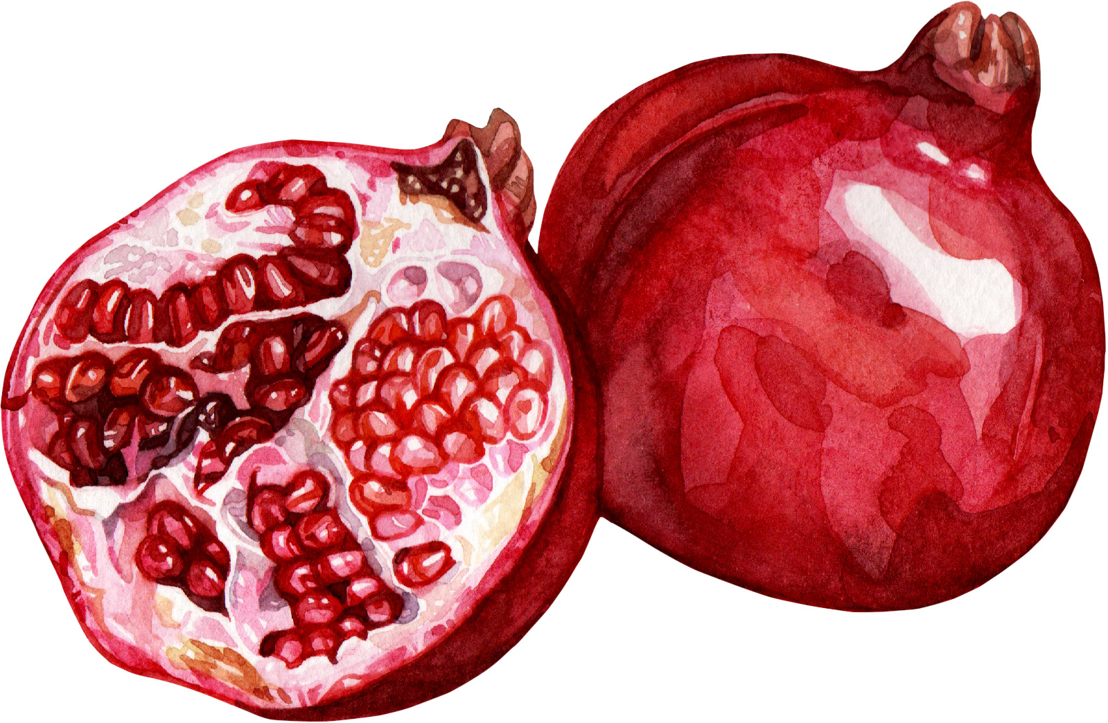 Pomegranate