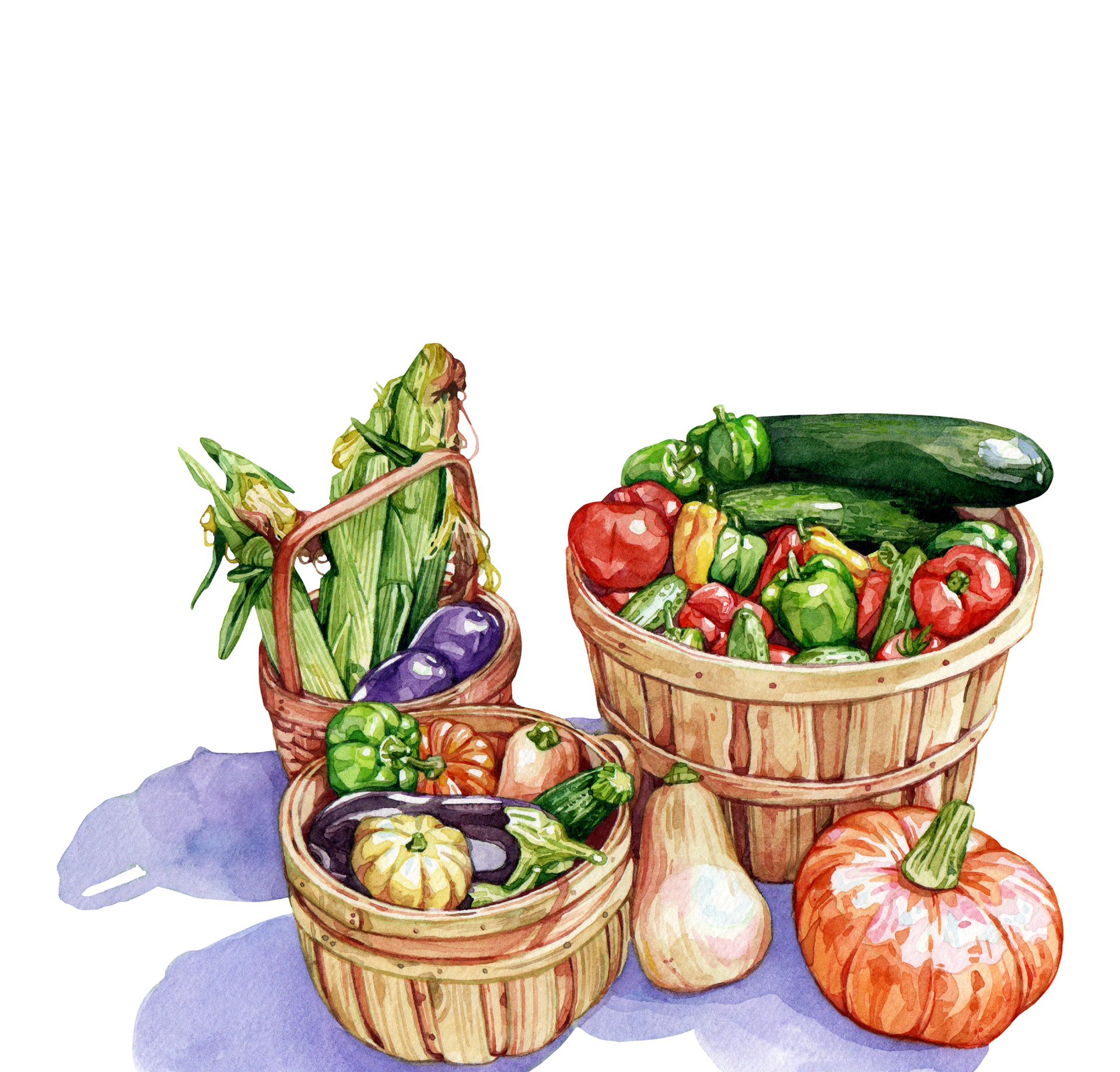 A vegetable bounty