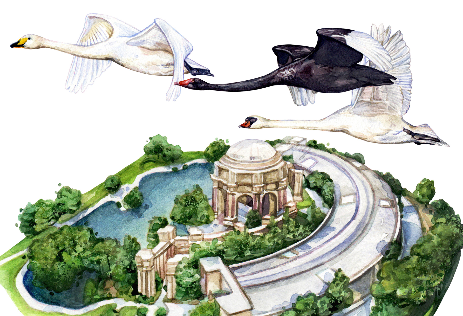 Article illustration for the San Fransican