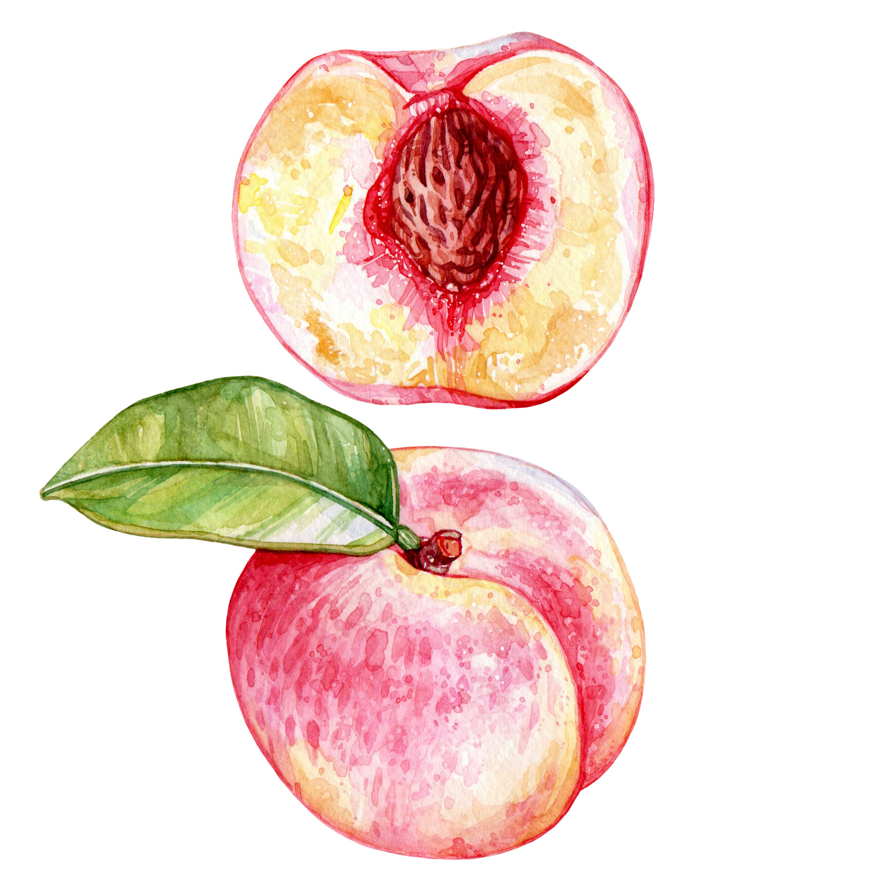Original Peach Painting - 60€ (15 x 15 cm)