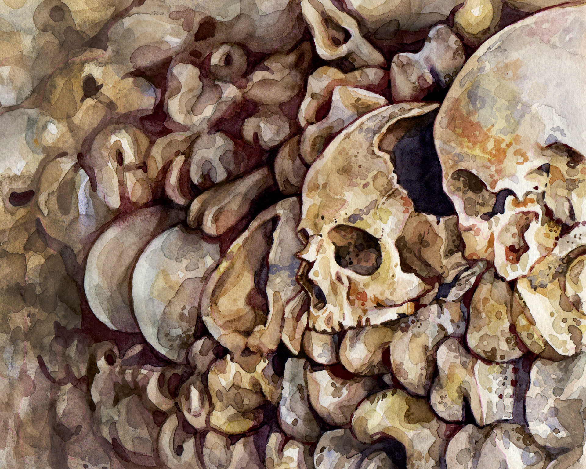 The catacombs of Paris