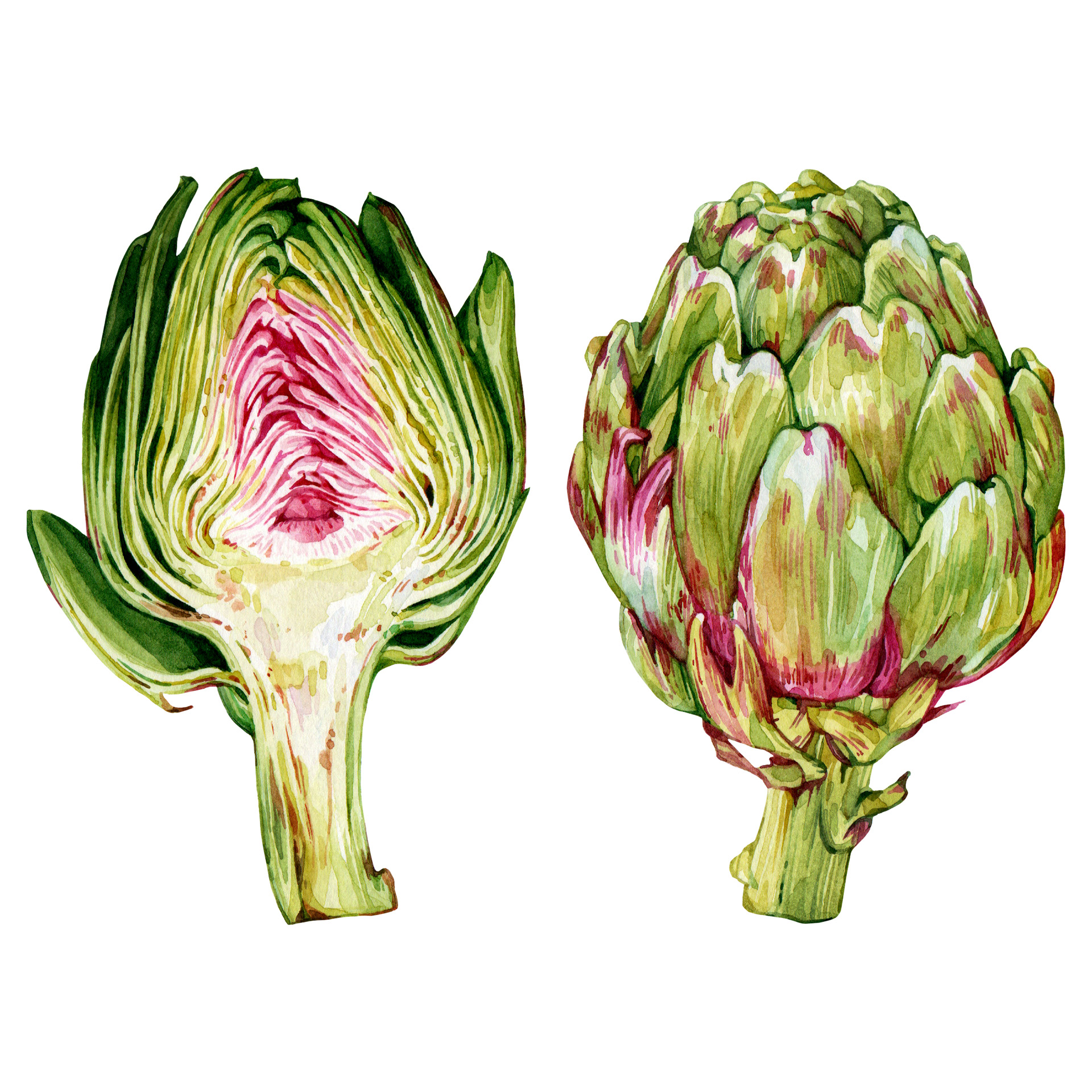 Artichokes