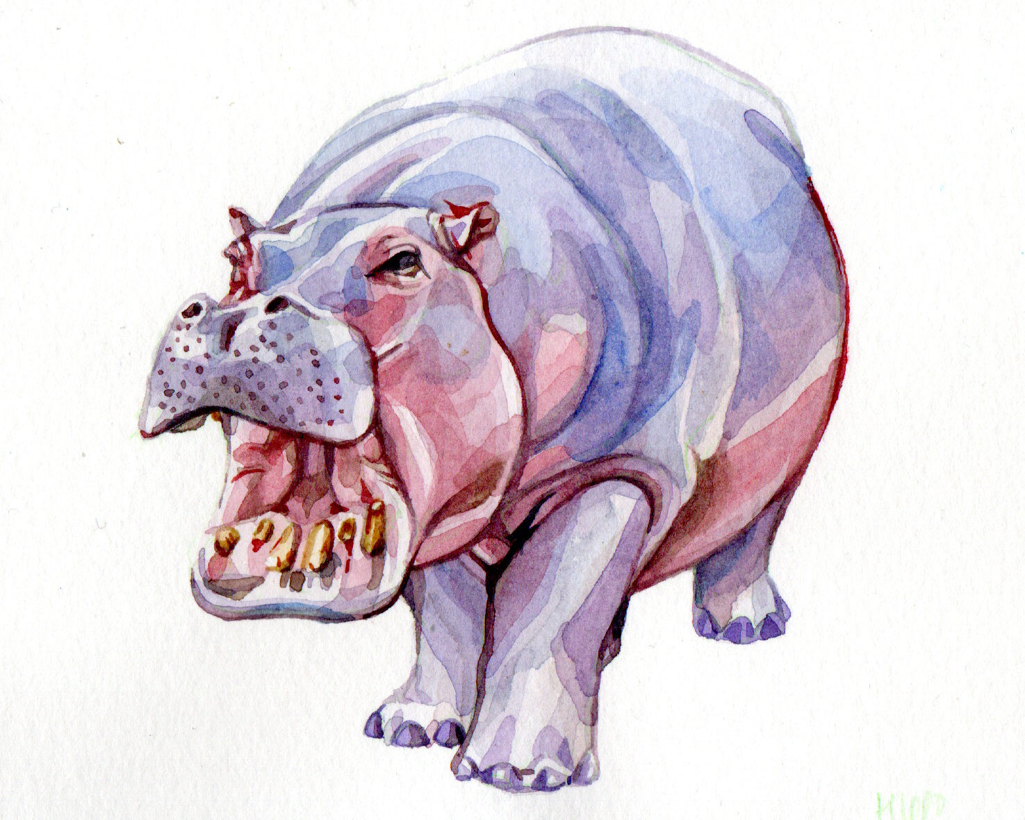 Original Hippo Painting - 65€ ( 12.6 x 10.2 cm)