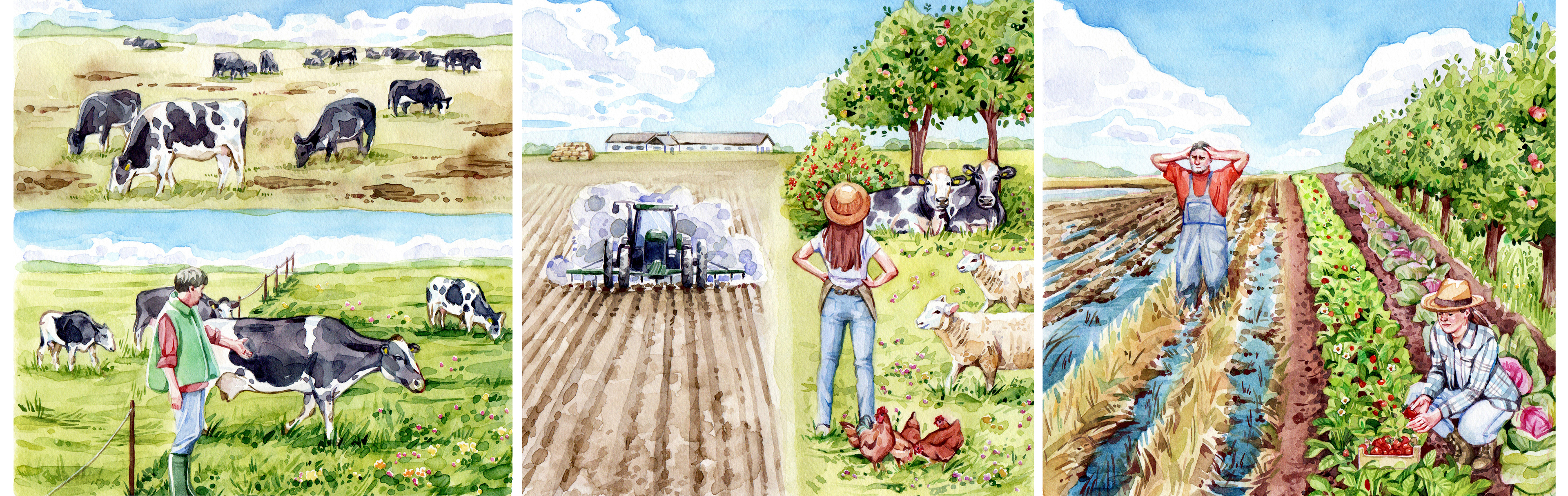 Illustrations for Estonian Fund for Nature to Show Different Farming Methods
