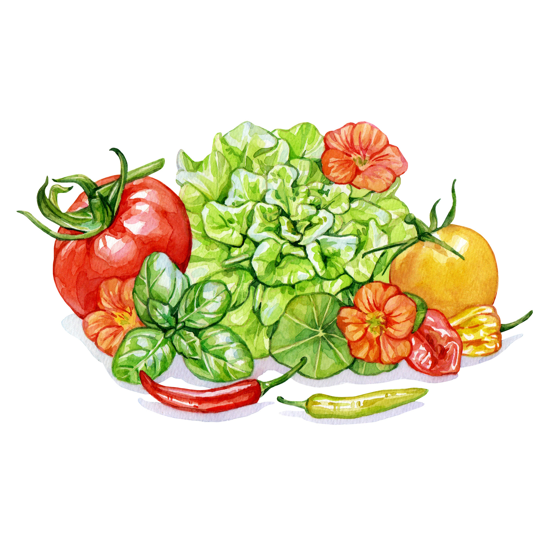 My favourite things to grow