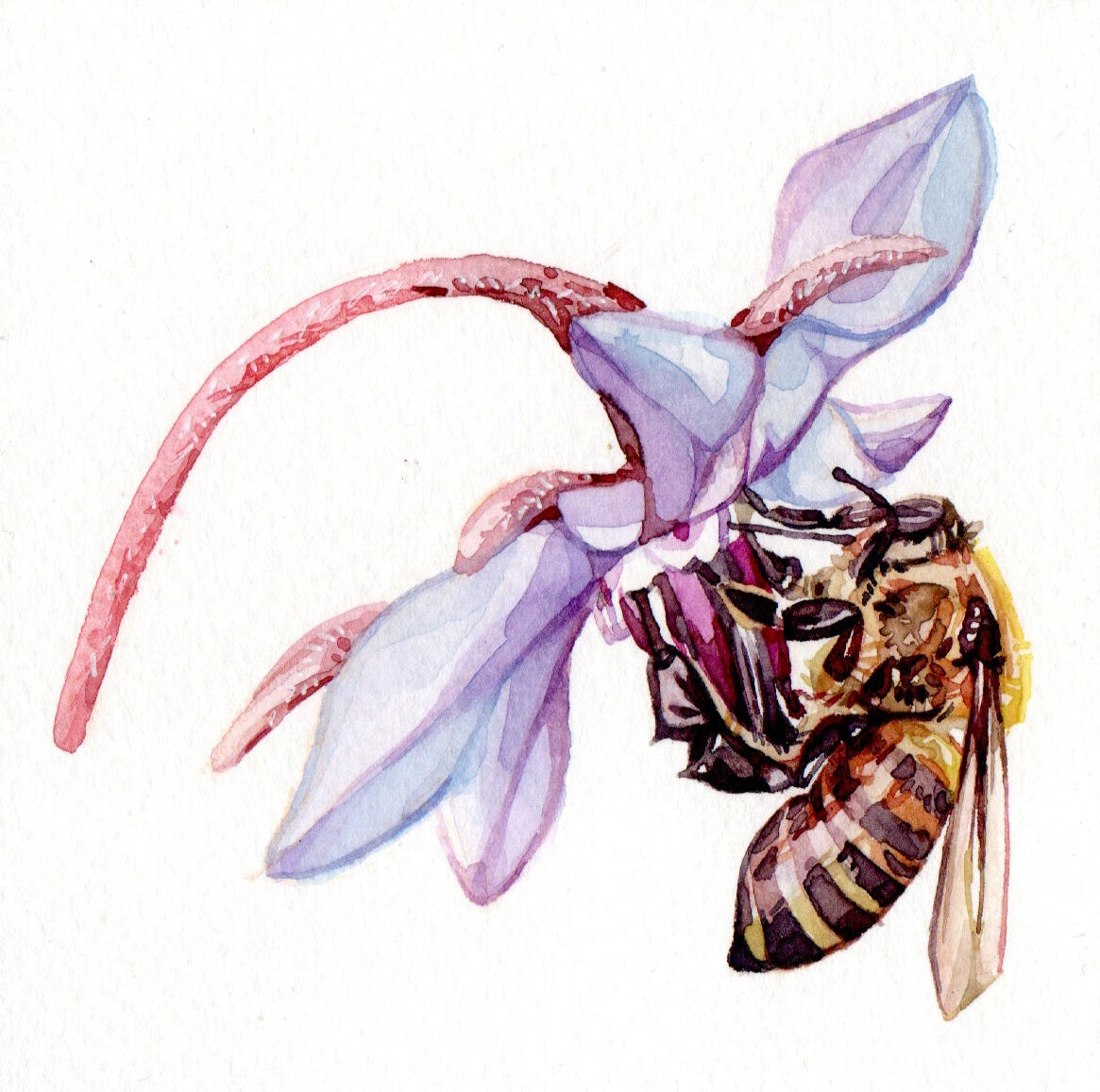 Original Bee Painting - 50€ (10 x 10 cm)