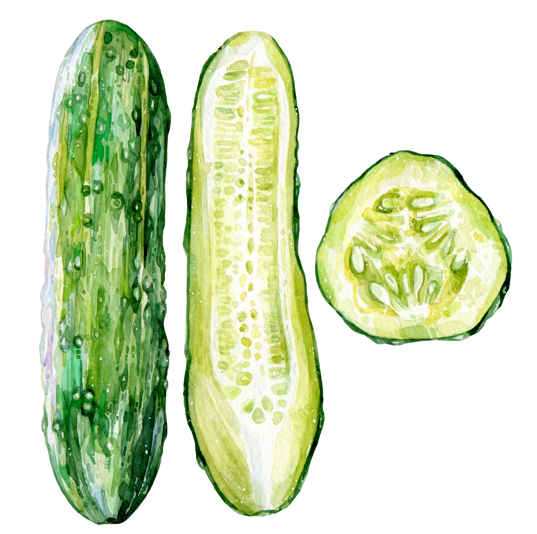 Original Cucumber Painting - 60€ (15 x 15 cm)