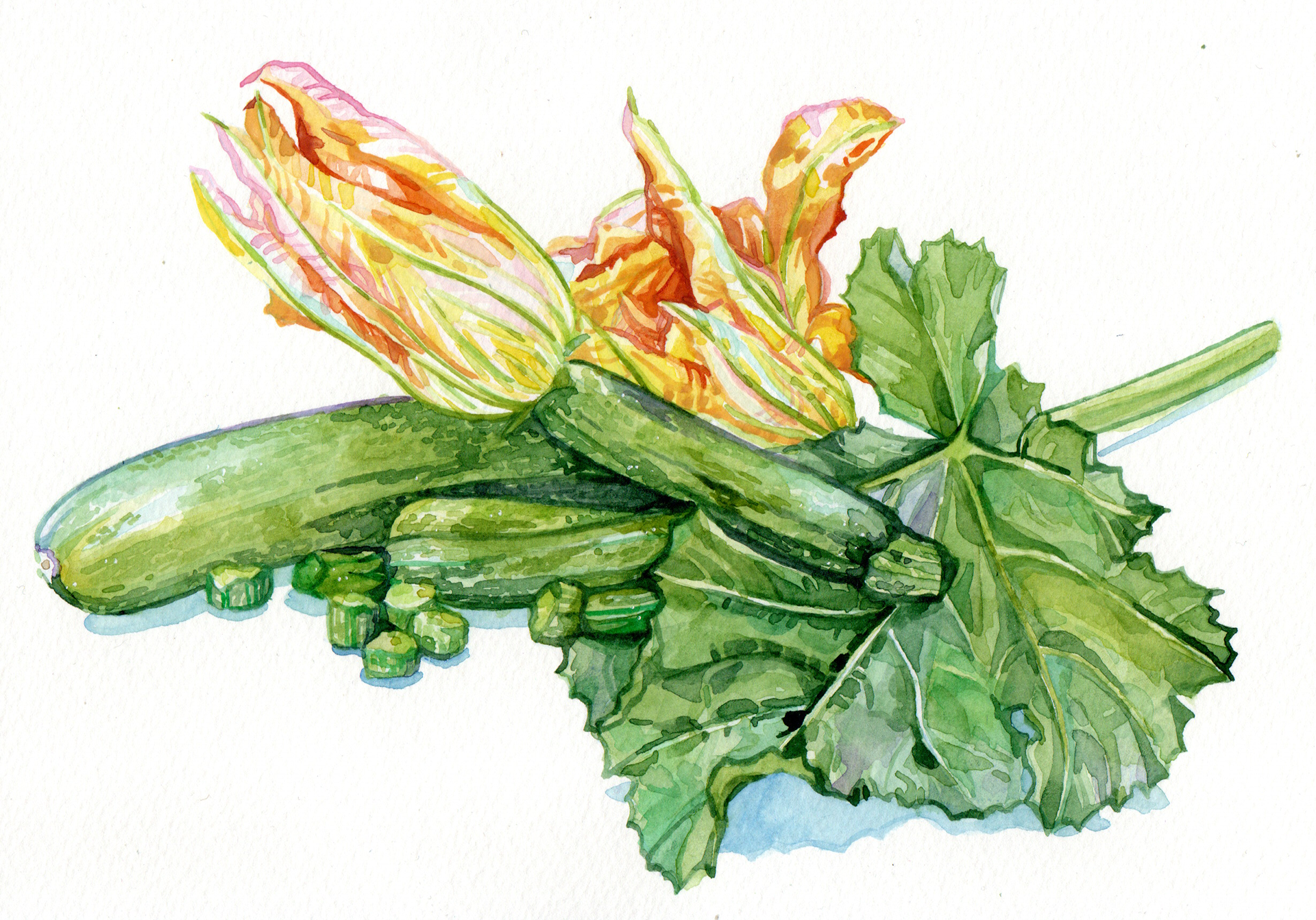Original Zucchini Painting - 160€ (21 x 14.8 cm)