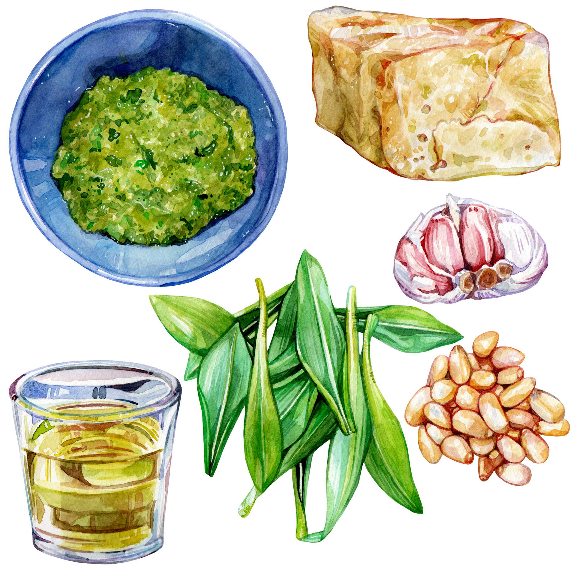 Wild Garlic Pesto and the Pesto Ingredients