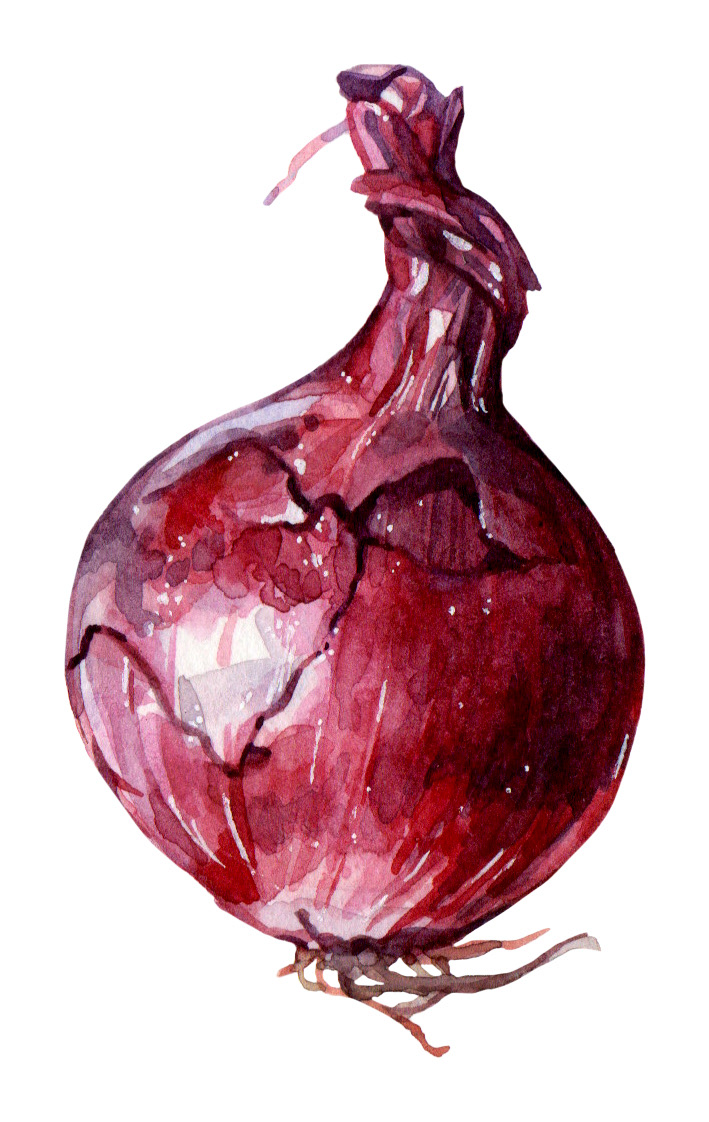 Red onion