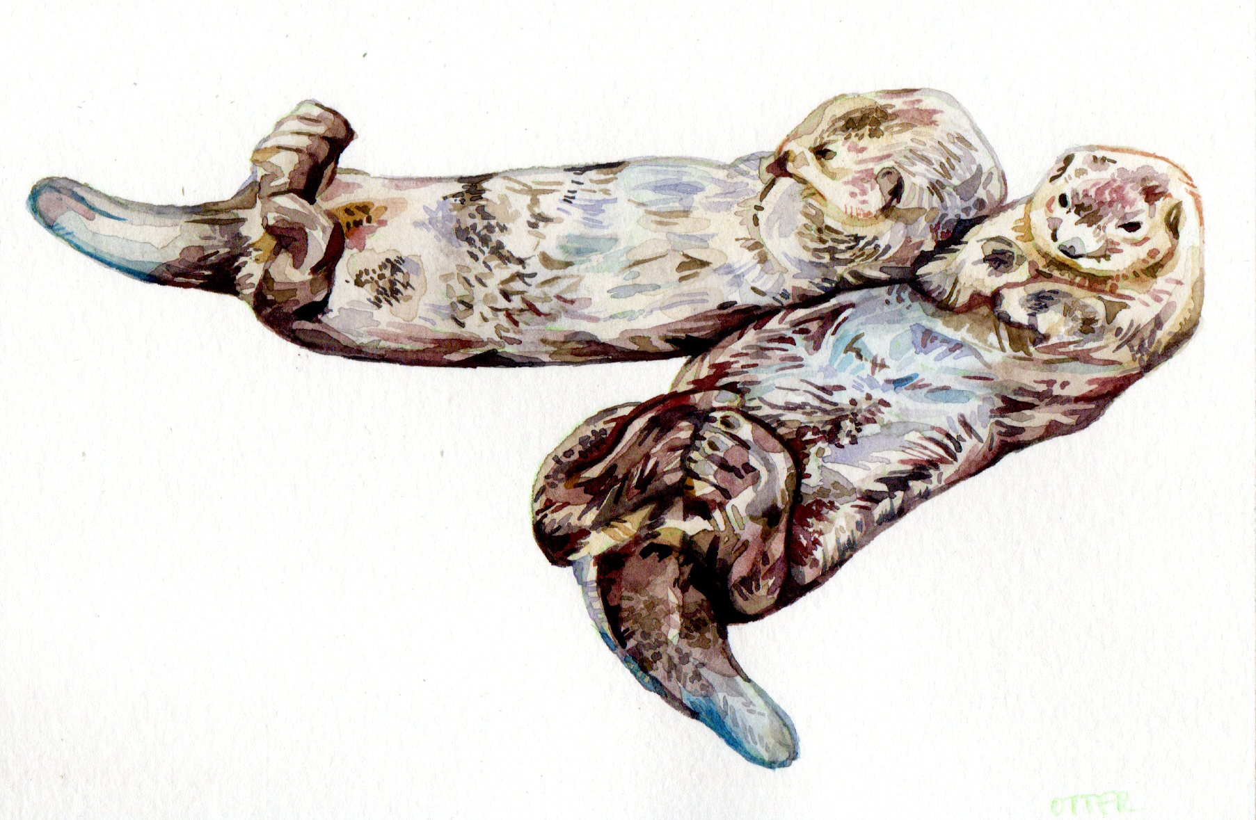 Original Otters Painting - 65€ (15.5 x 10.2 cm)