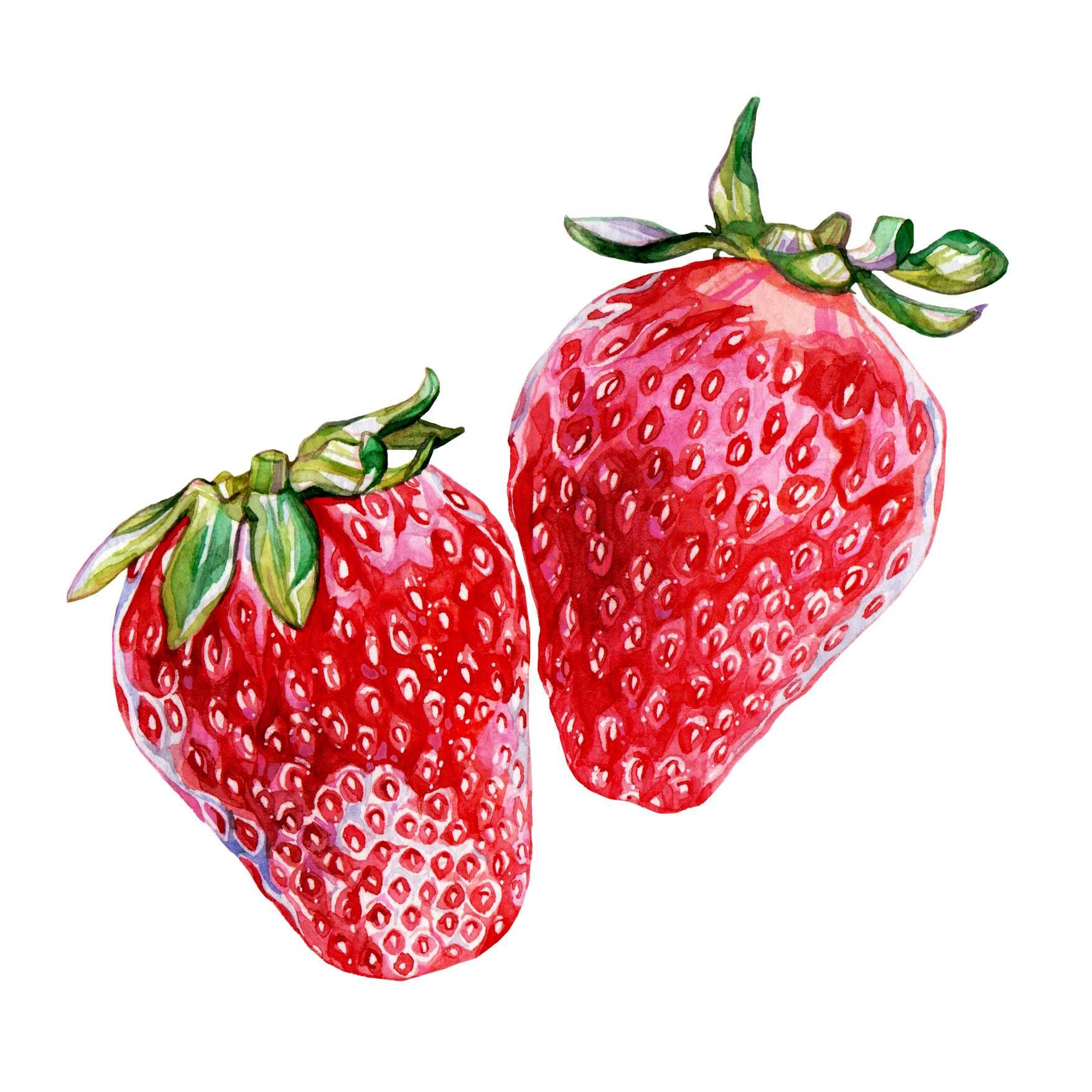 Strawberries