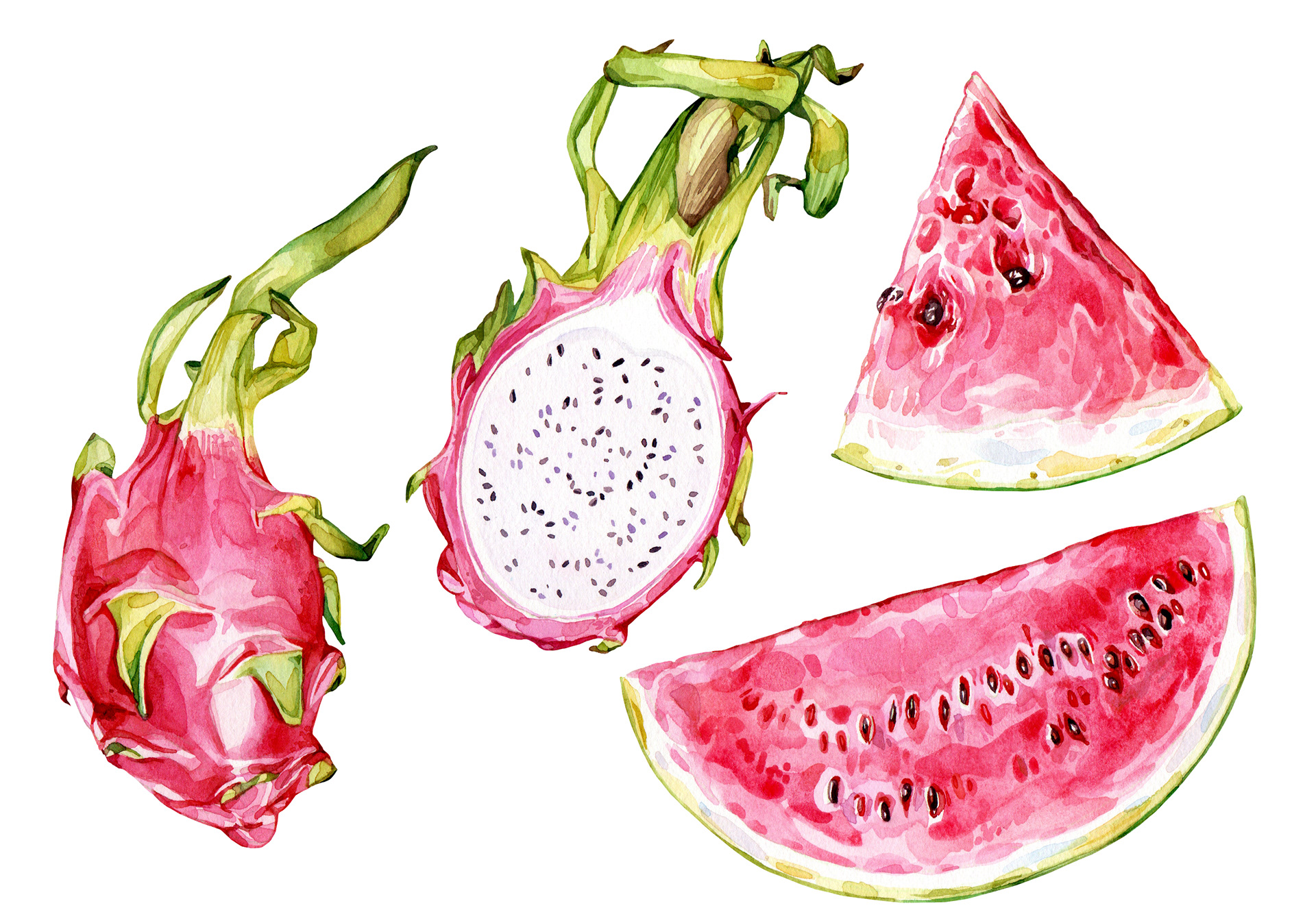 Dragon Fruit and Watermelon