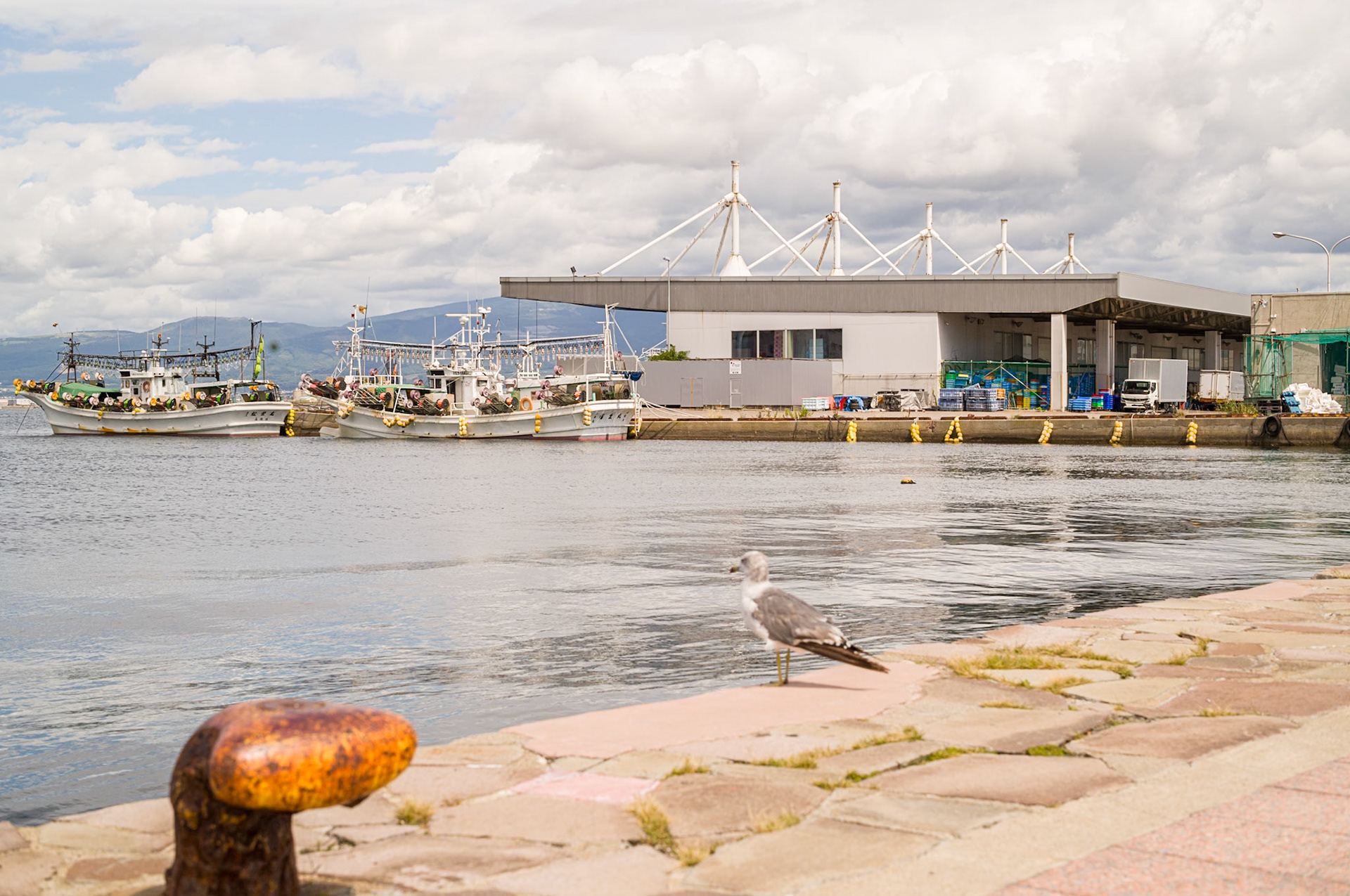 Harbor - Hakodate