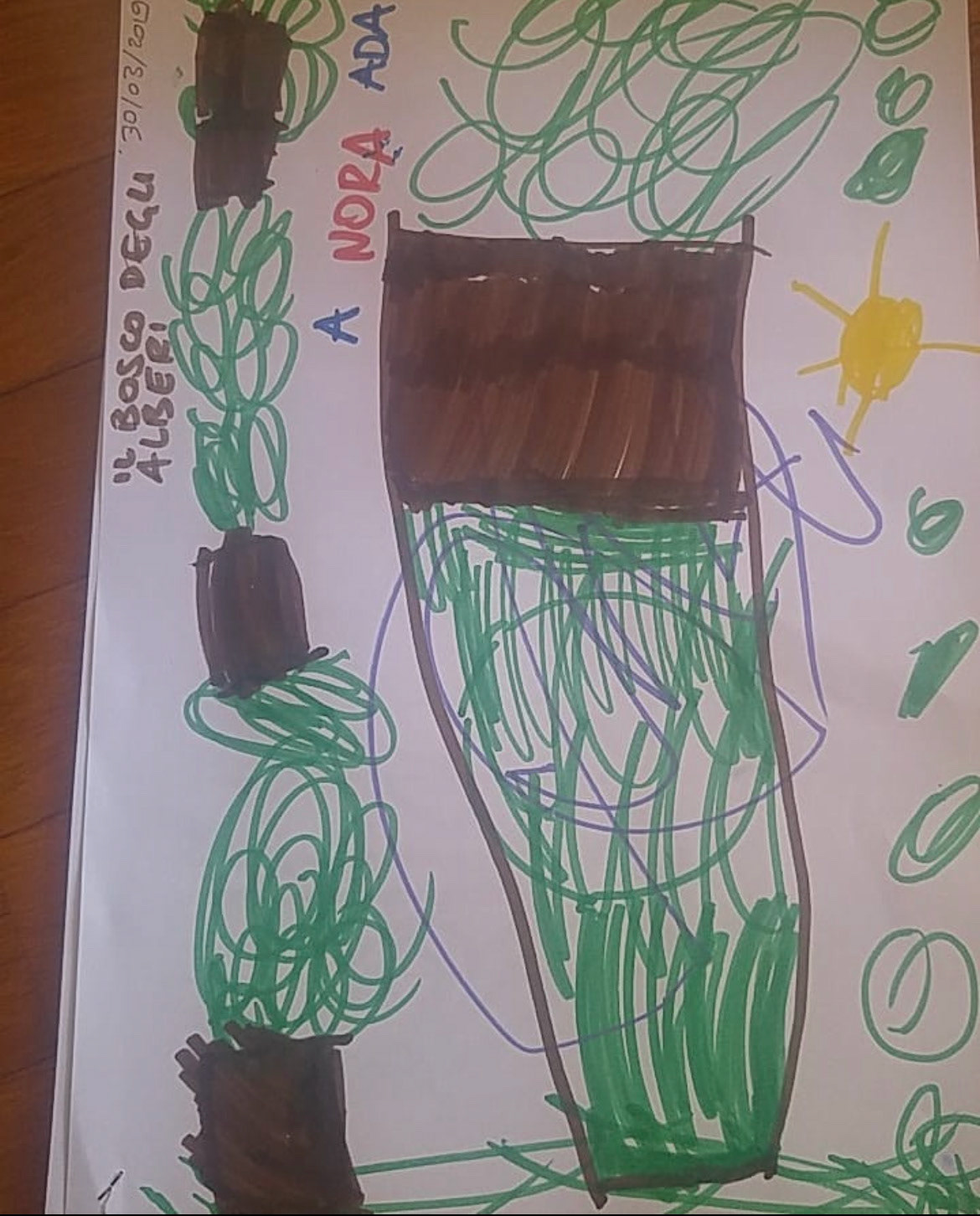 My drawing skills (kidding, my nieces one)