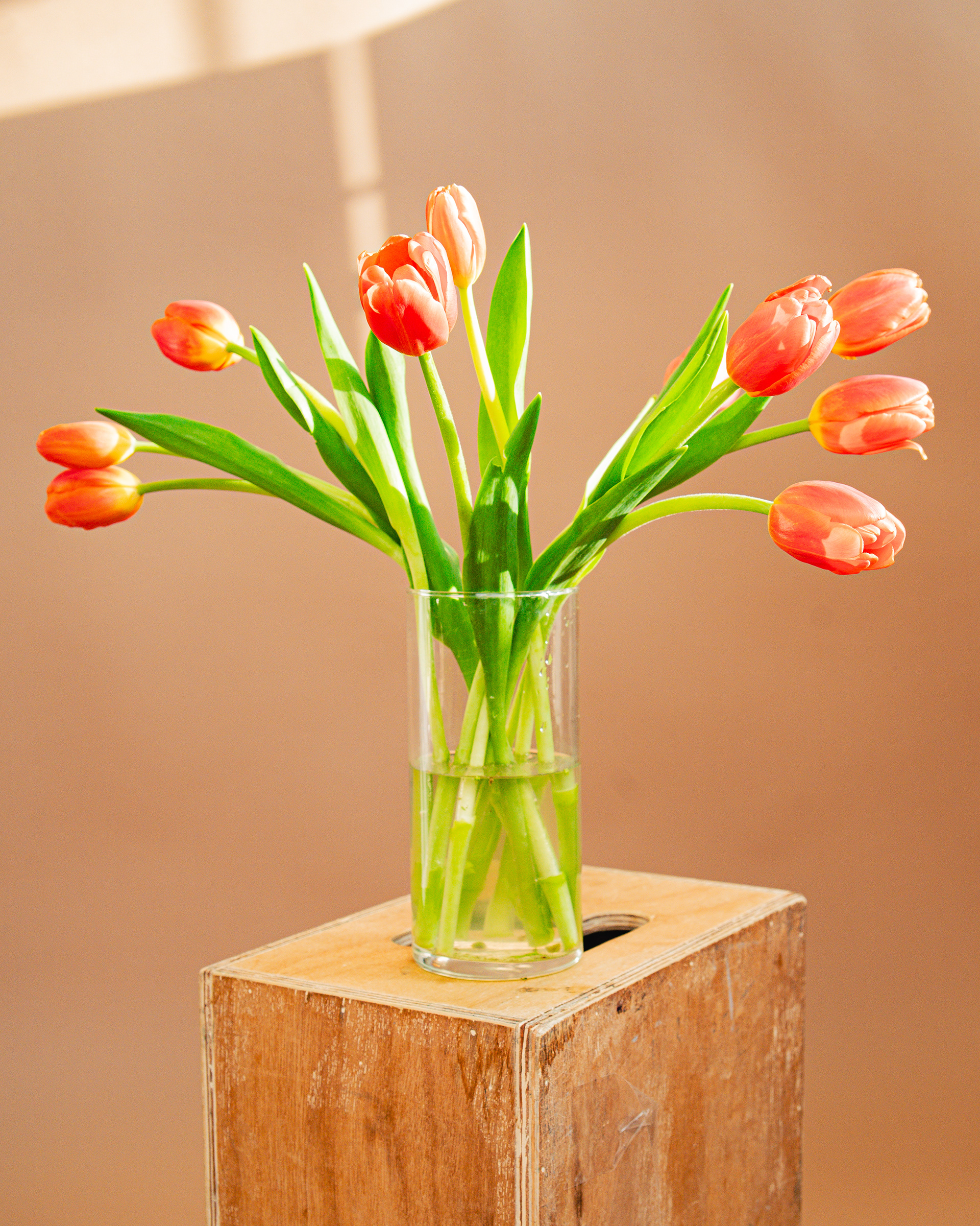 Product Shots For FLOR ATELIER