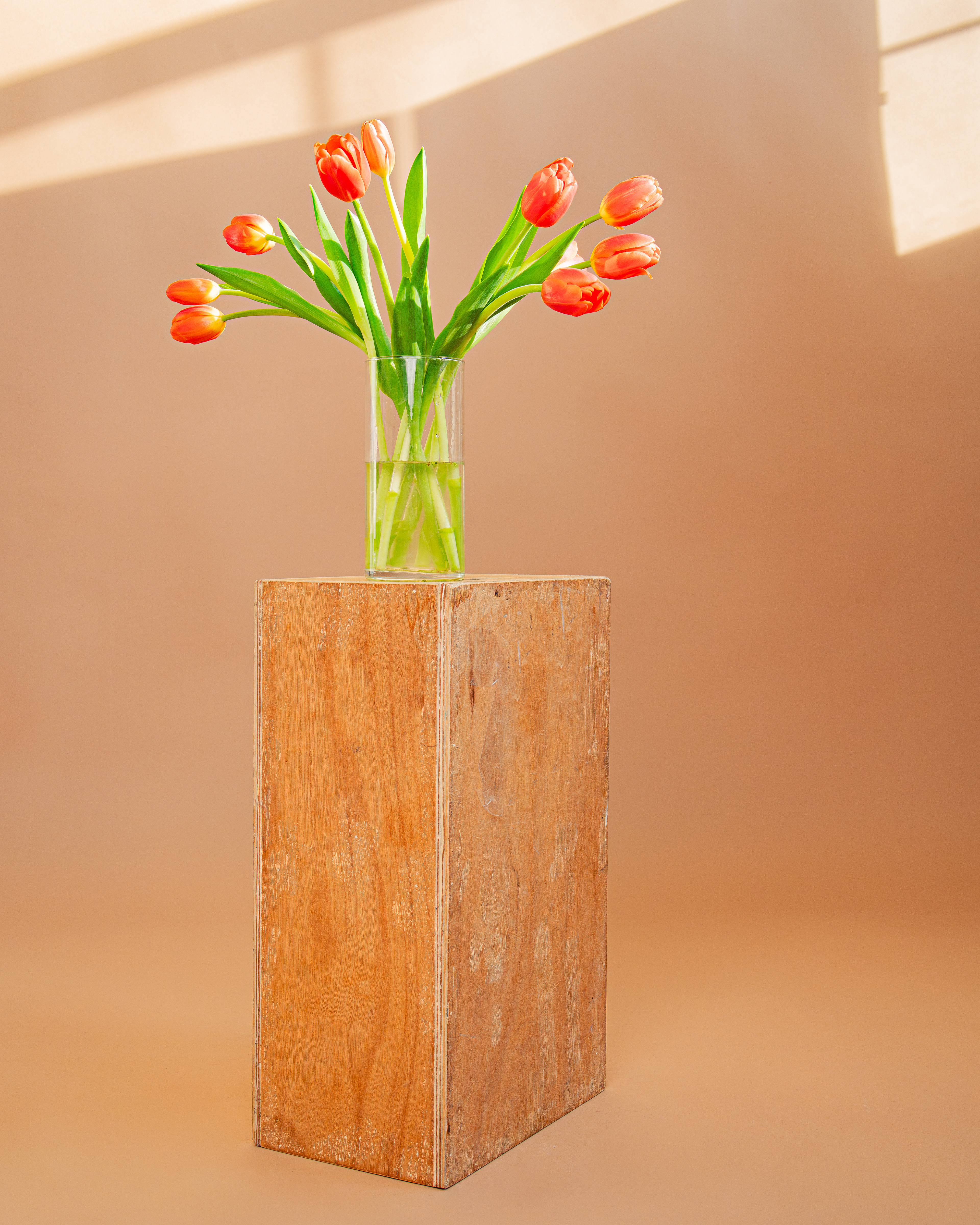 Product Shots For FLOR ATELIER