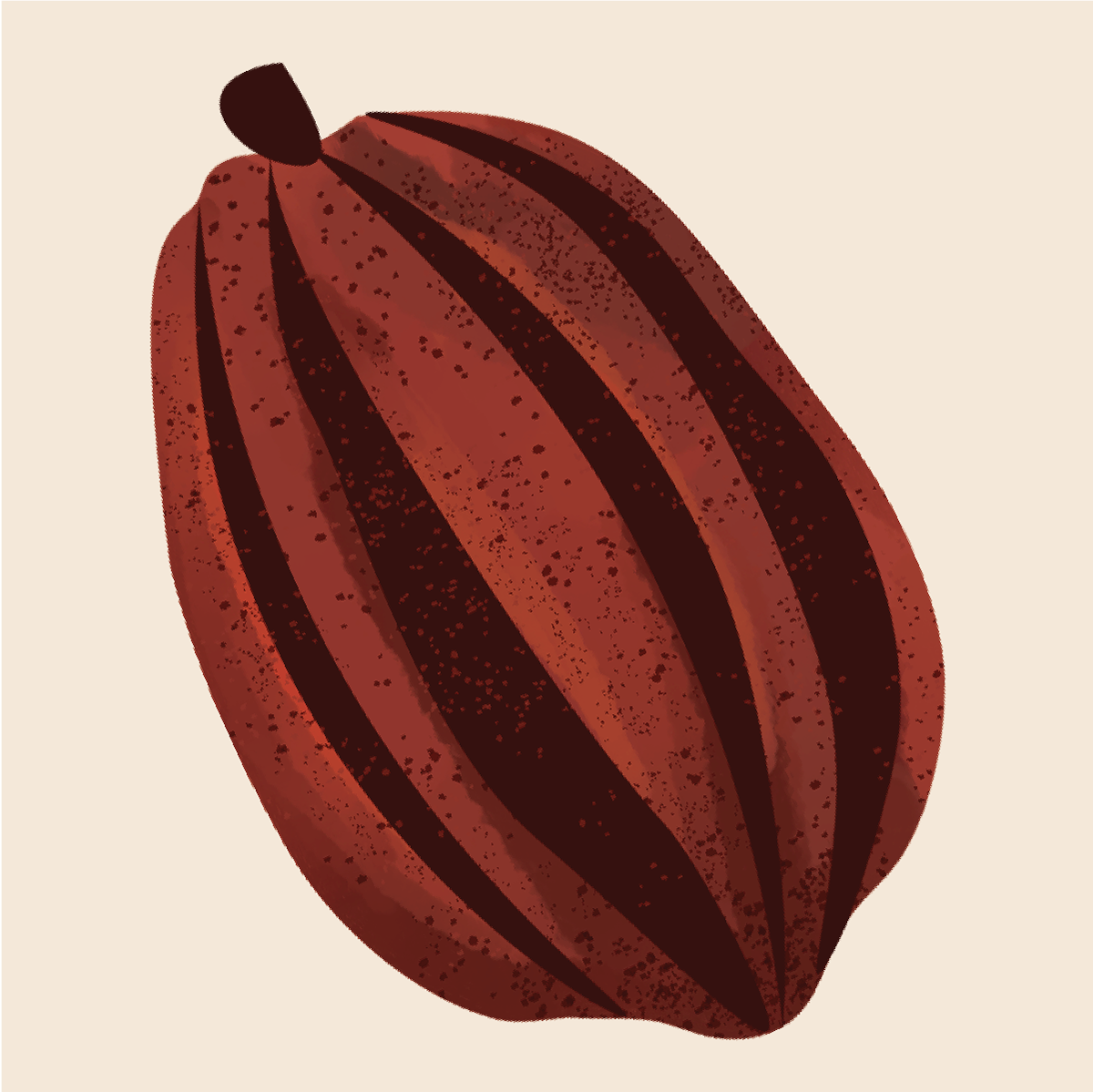 A cacao pod.